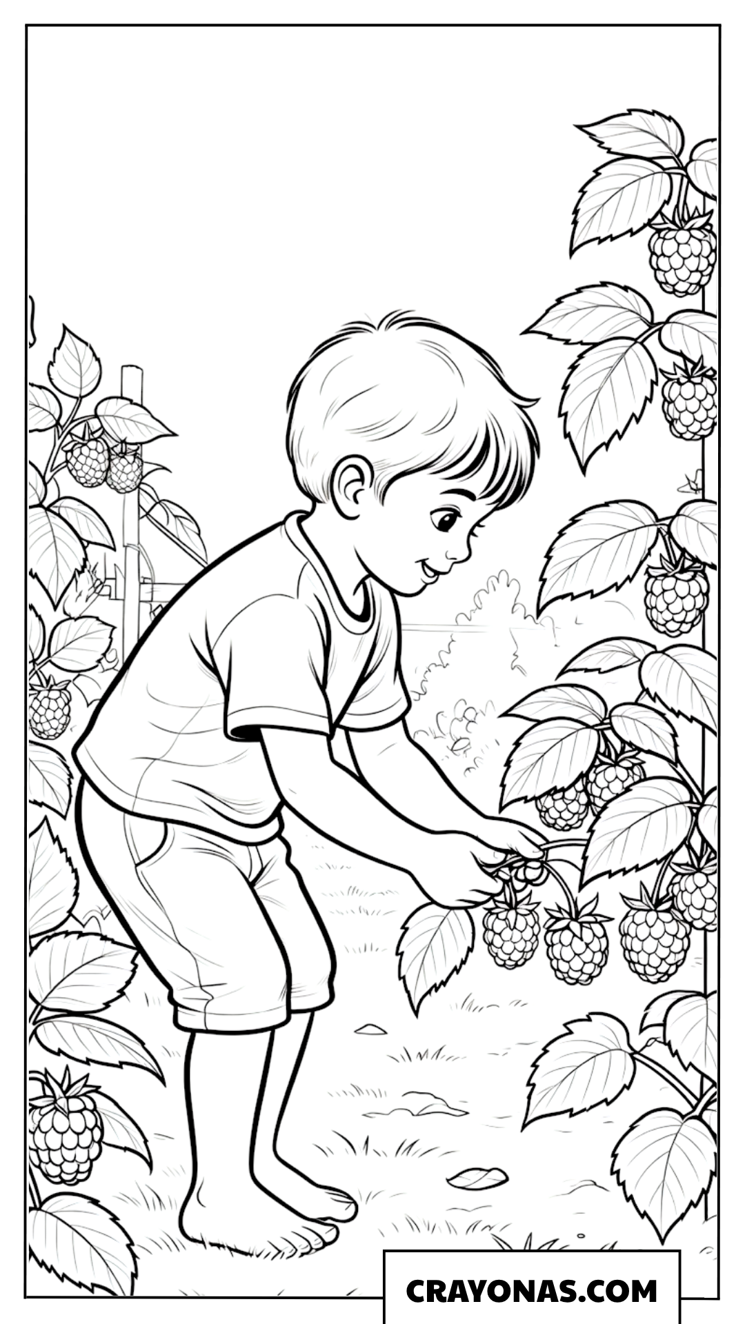 Boy Picking Berries Coloring Page