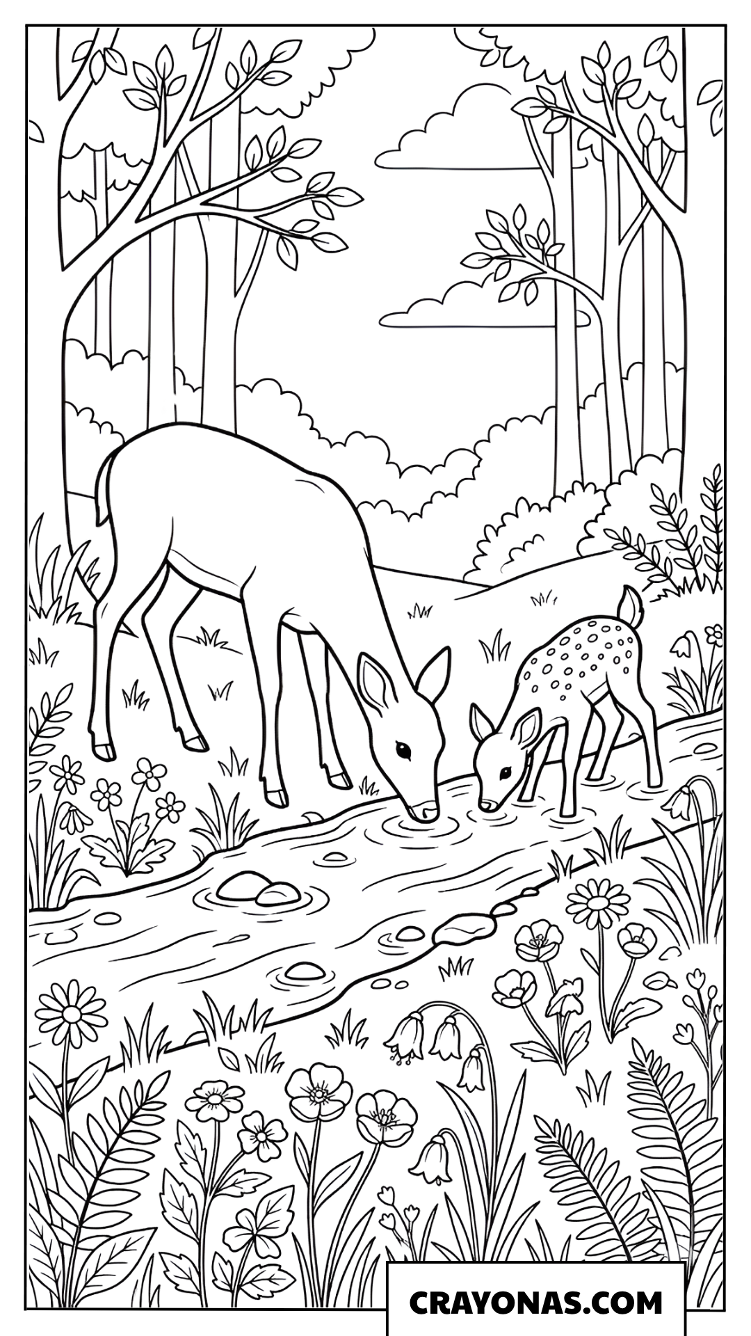 Deer and Fawn by the Stream Coloring Page