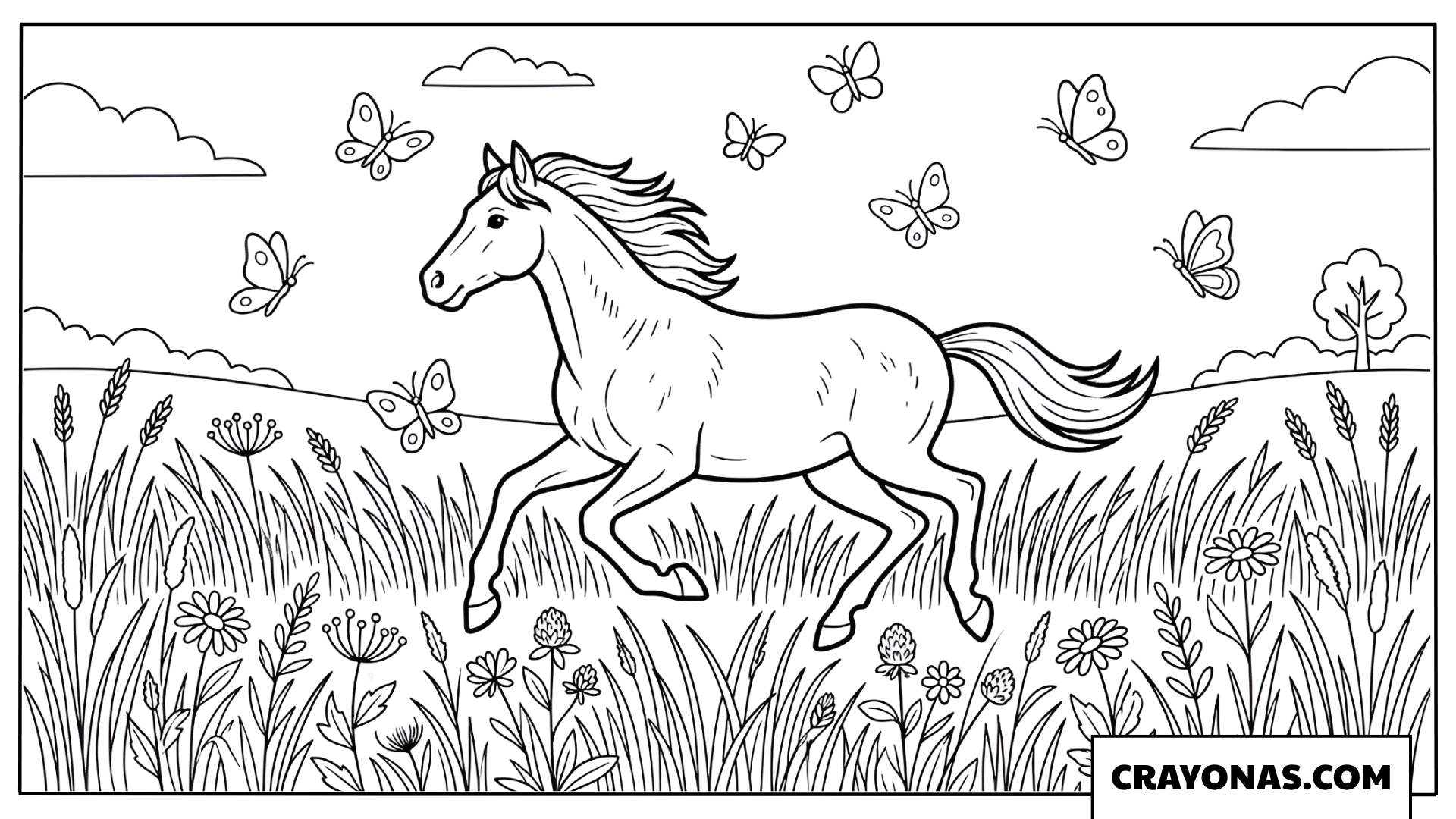 Horse Galloping in the Meadow Coloring Page