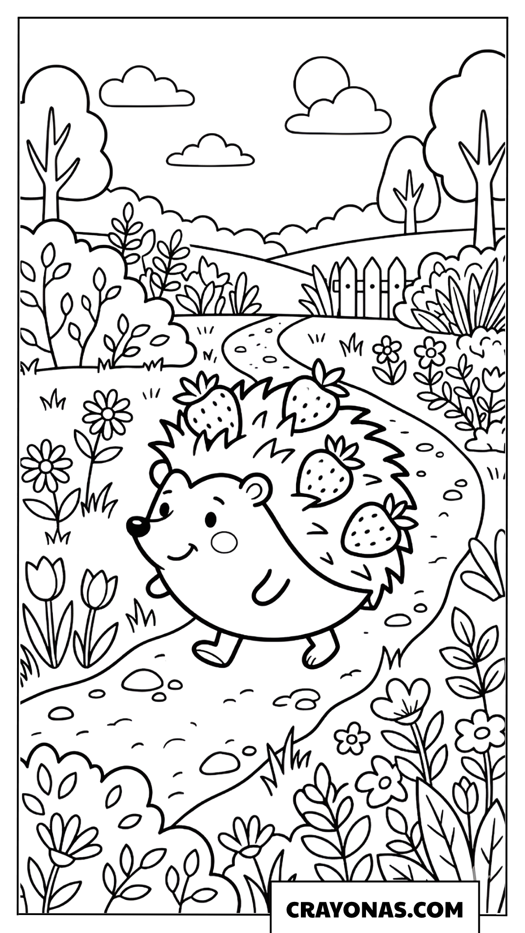 Little Hedgehog on a Path Coloring Page