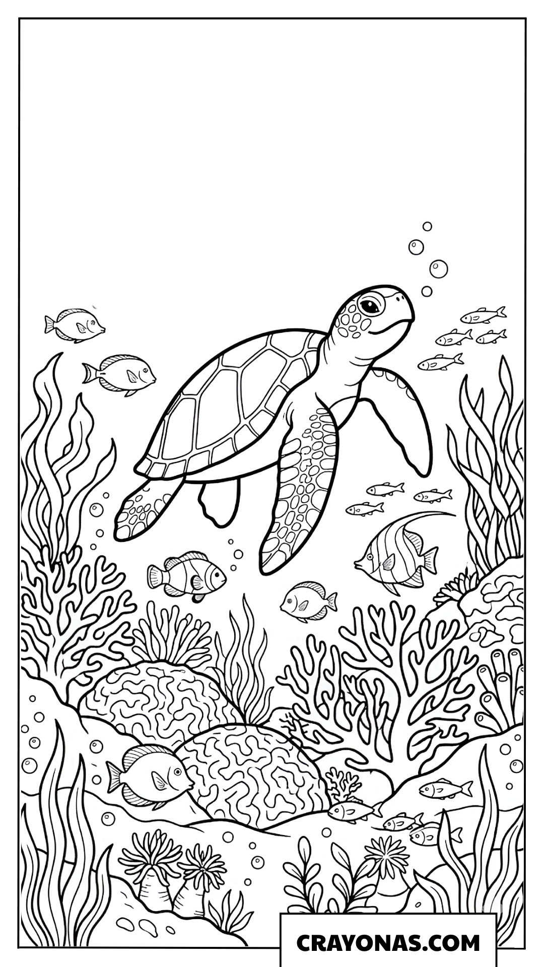 Sea Turtle Swimming in Coral Reef Coloring Page