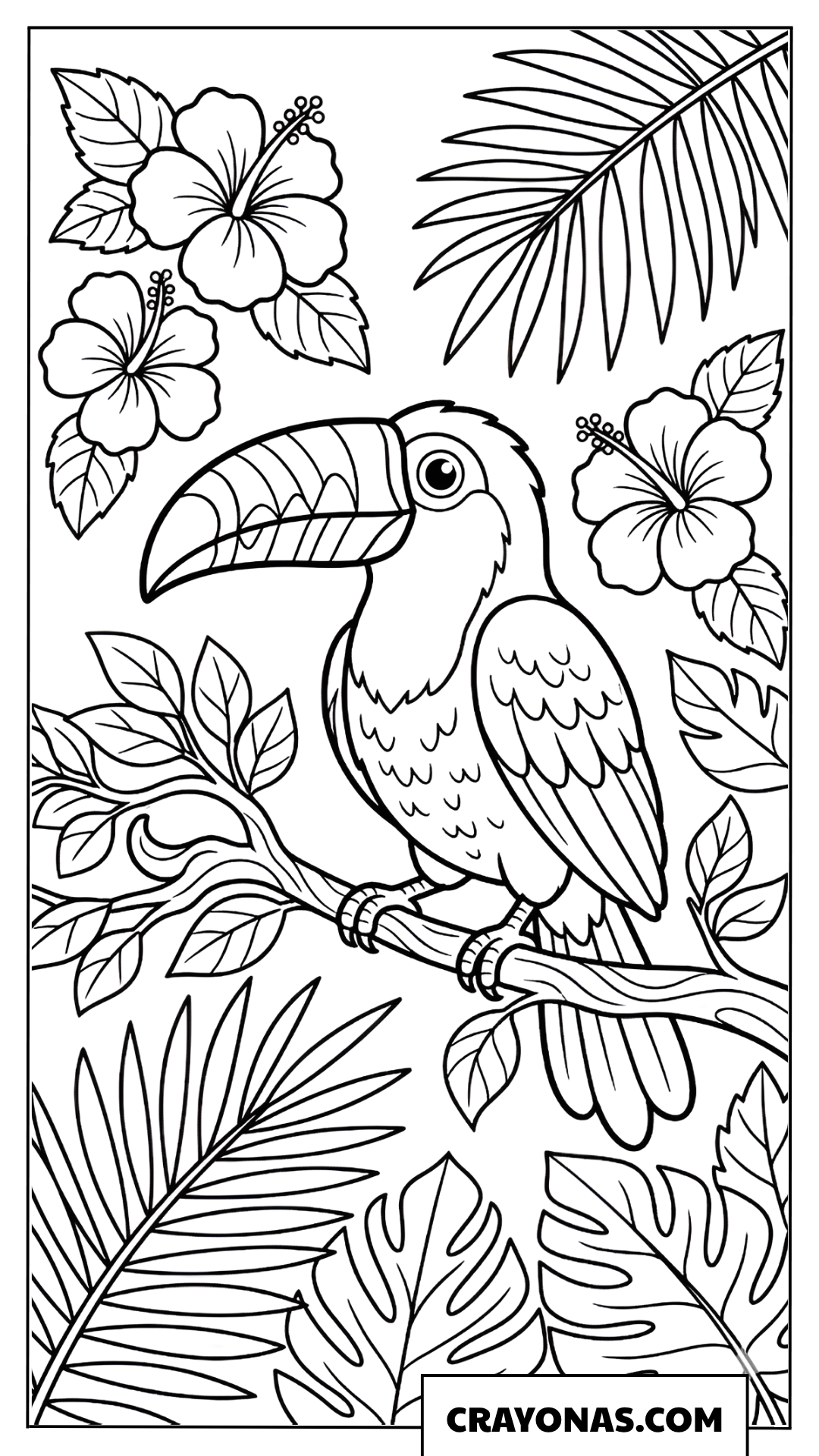 Tropical Toucan Bird Coloring Page