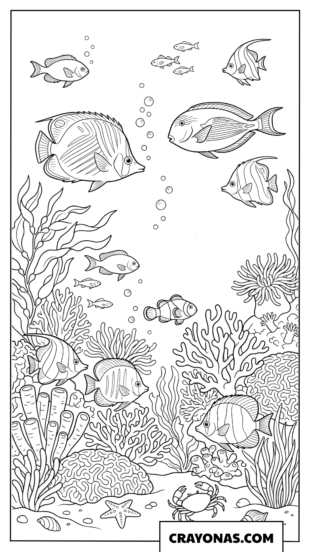 Undersea World Marine Life Coloring Page