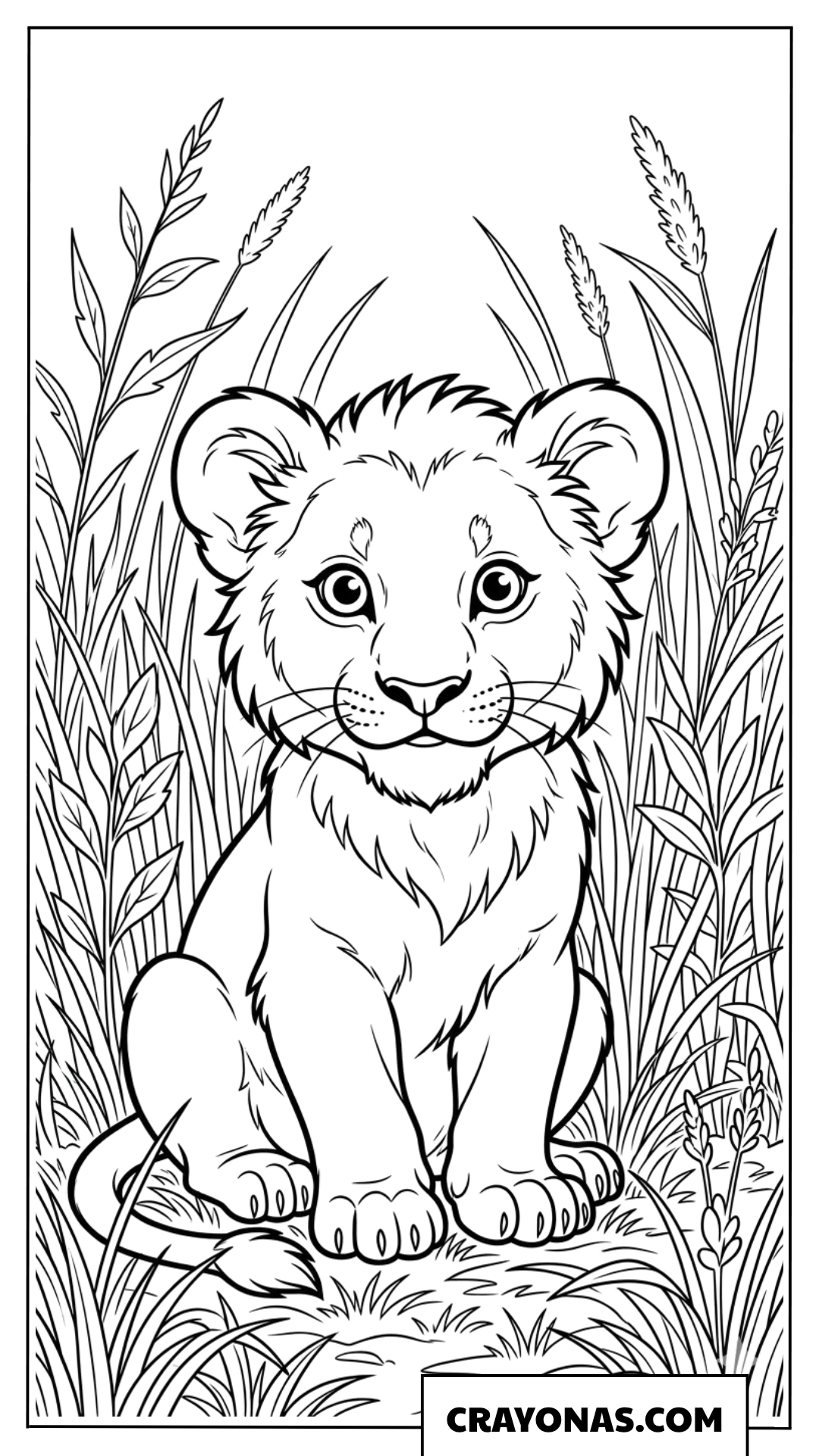 Baby Lion Sitting in Grass Coloring Page