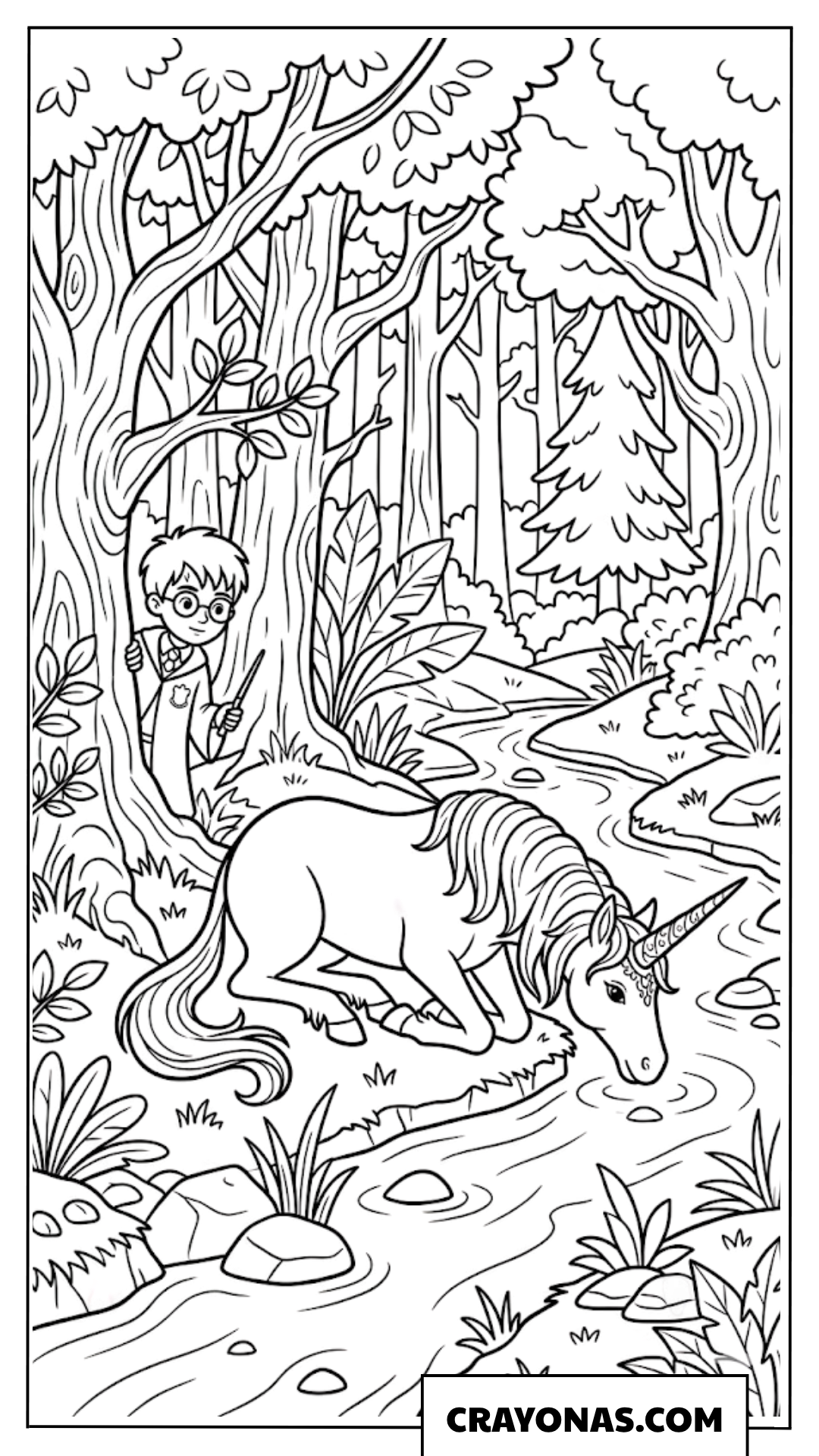 Harry Potter and Unicorn Coloring Pages