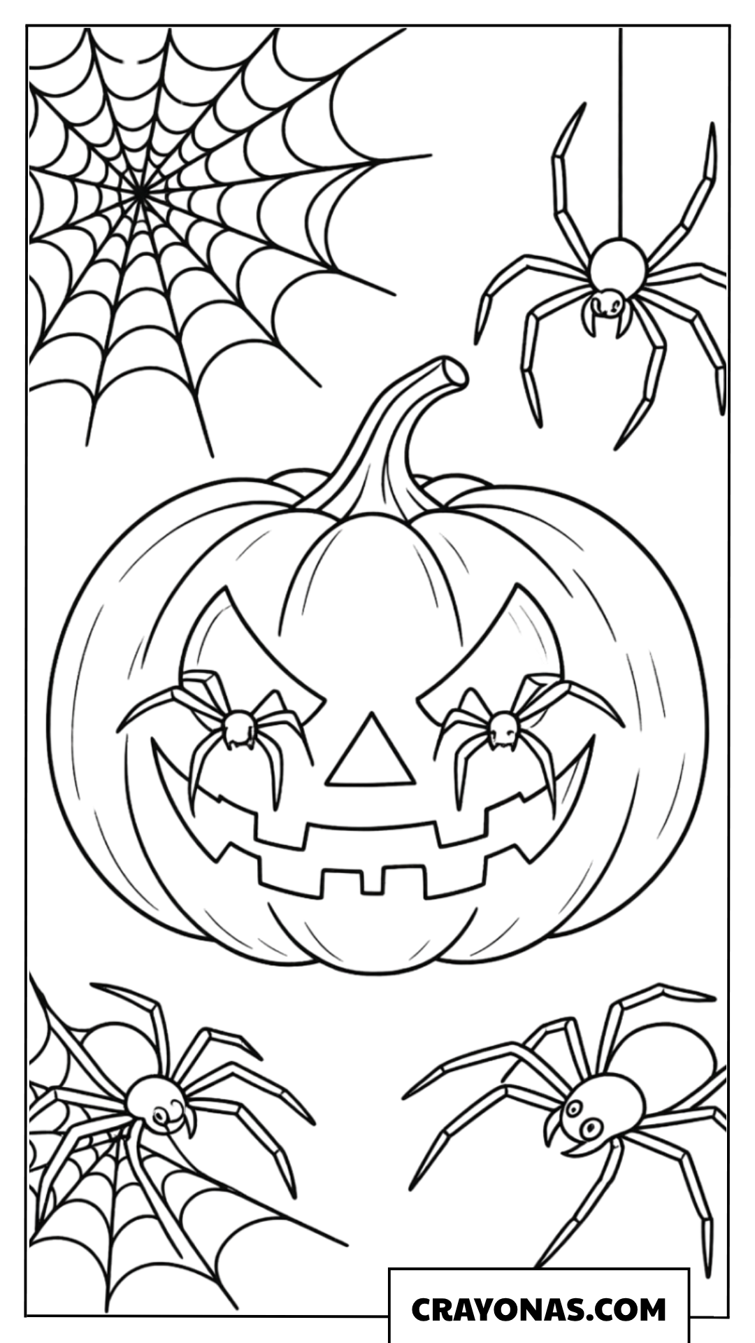 Pumpkin with Spider Web Coloring Page