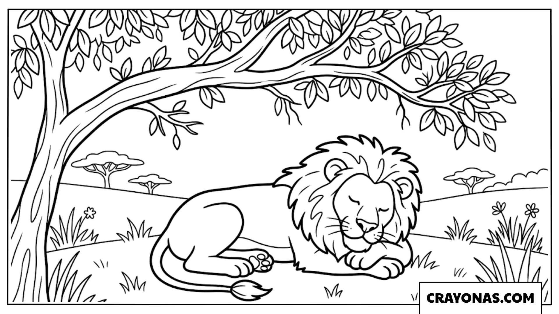 Realistic Lion Resting Under Tree Coloring Page