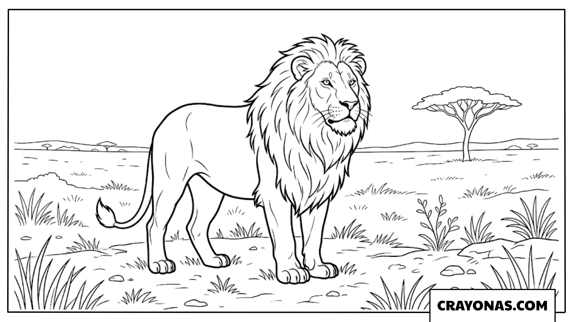 Realistic Lion on Rock Coloring Page