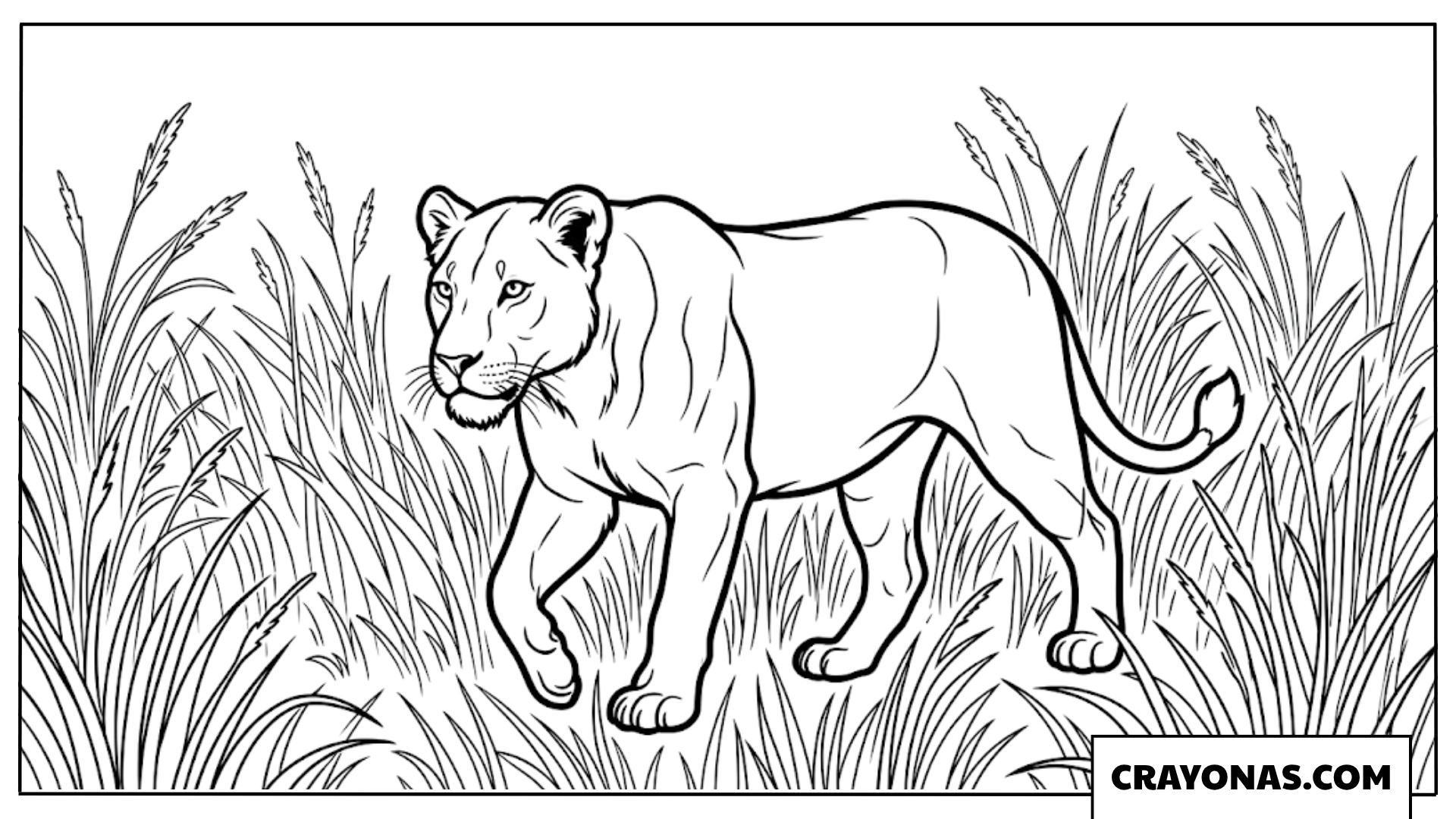 Realistic Lioness Walking Coloring Page