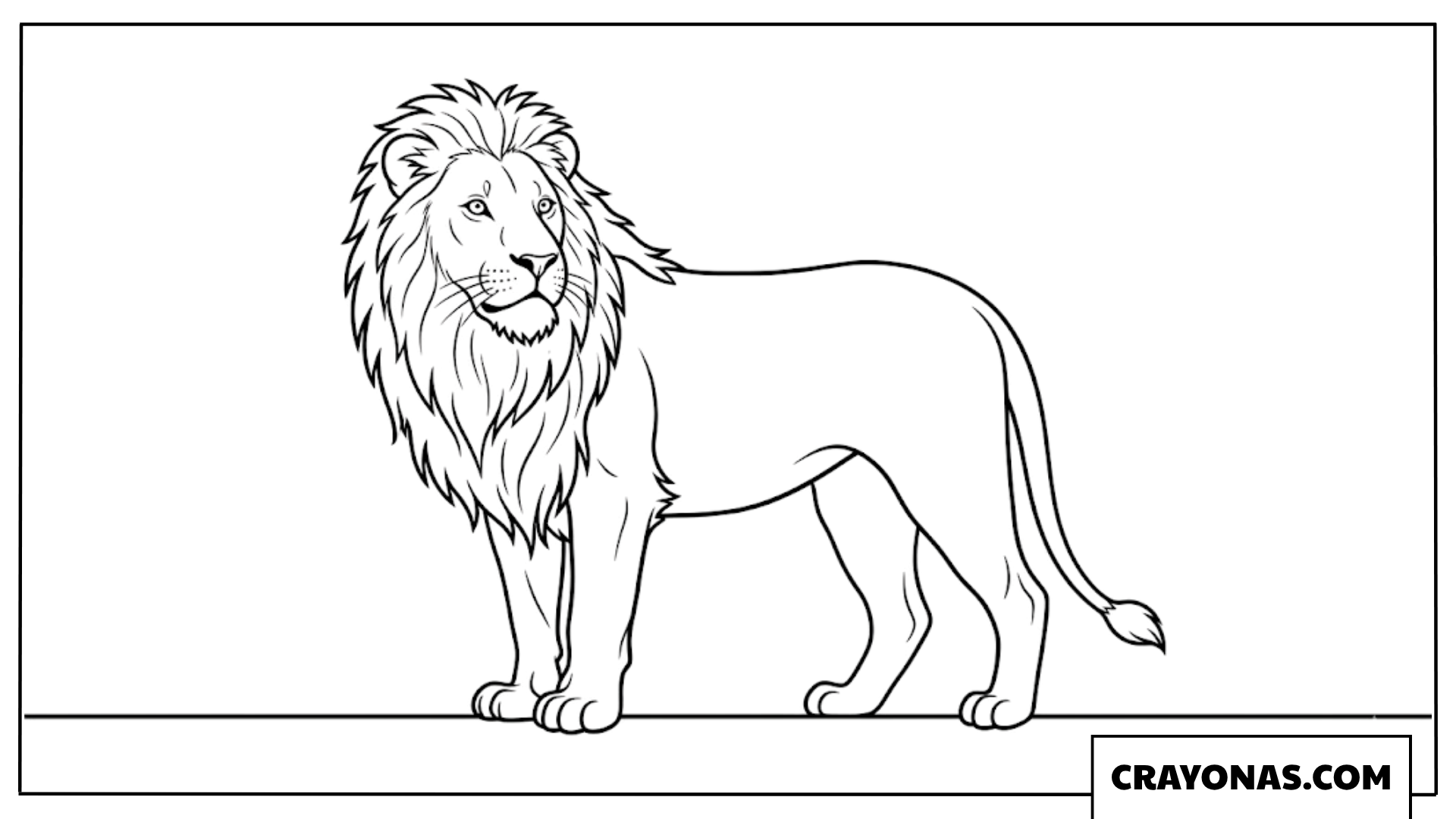 Realistic Standing Lion Coloring Page