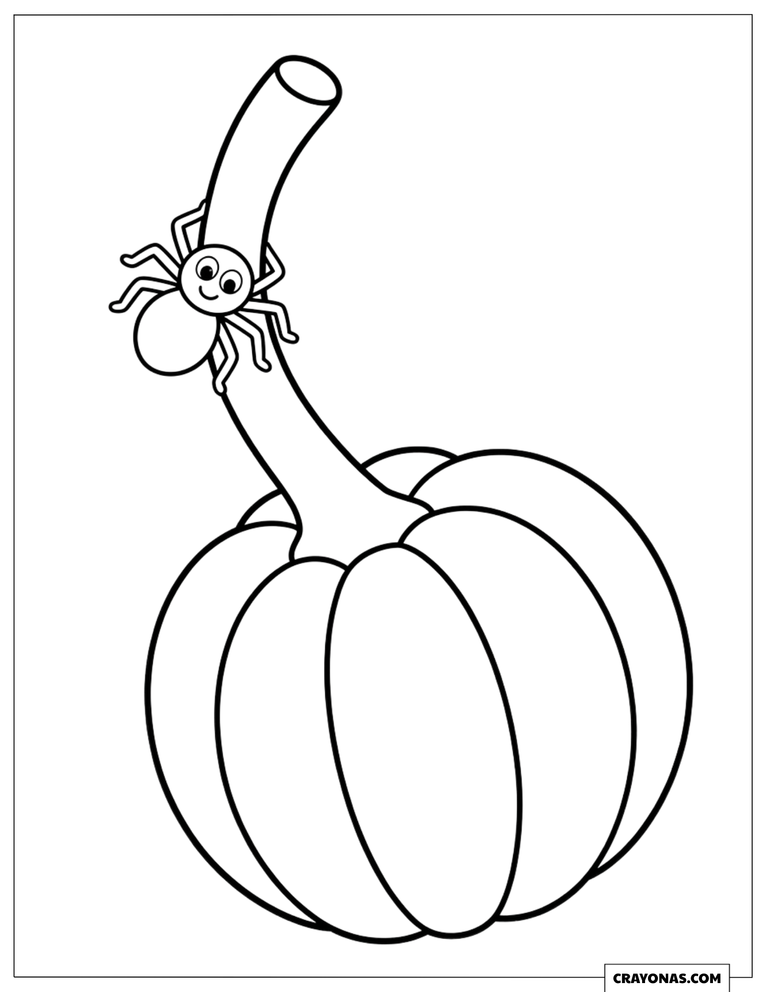 Cute spider climbing a long pumpkin stem to color