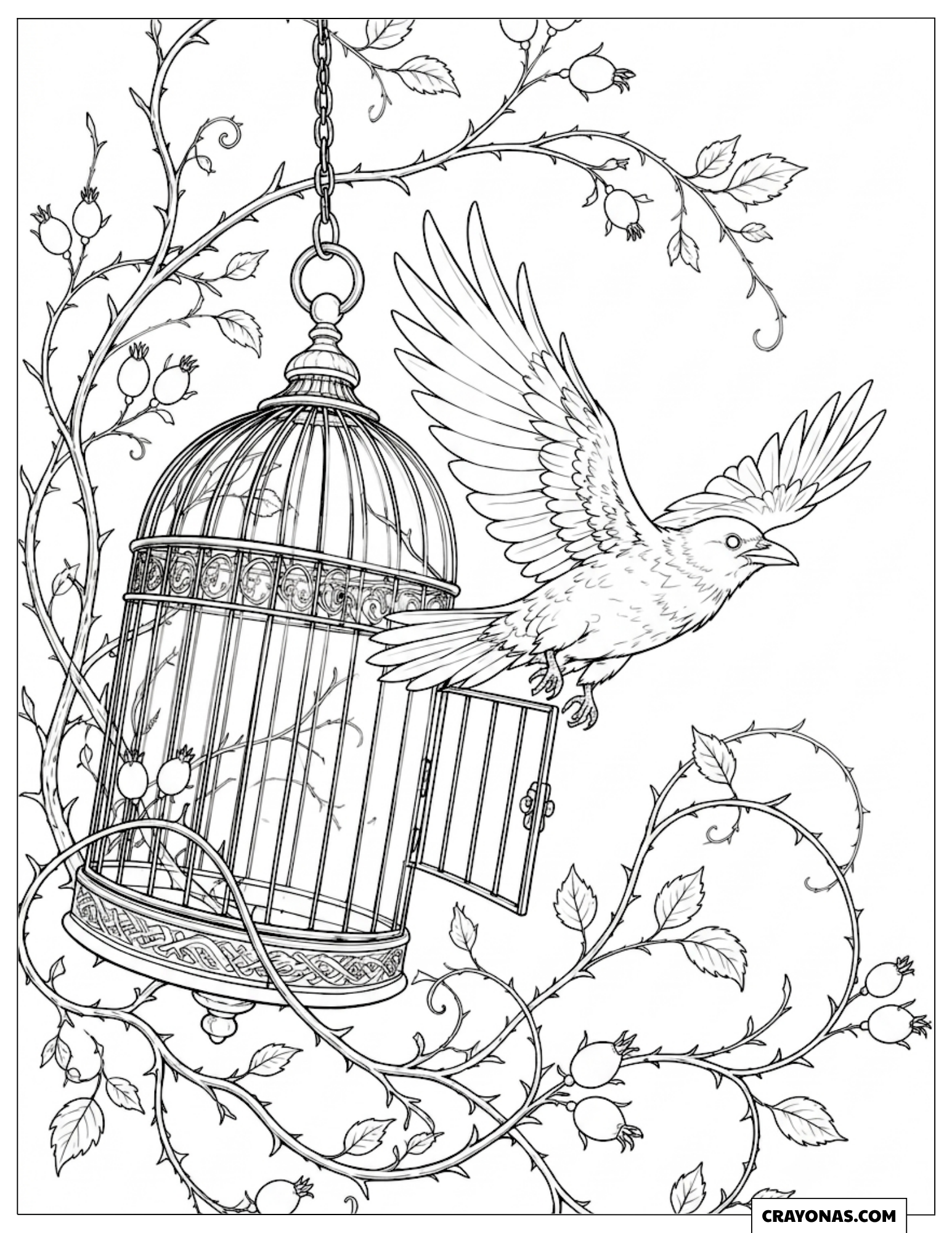 Vintage birdcage with a crow flying out coloring page