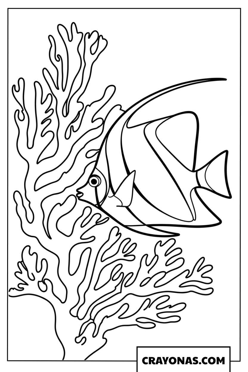 Angelfish Swimming by Coral Coloring Page