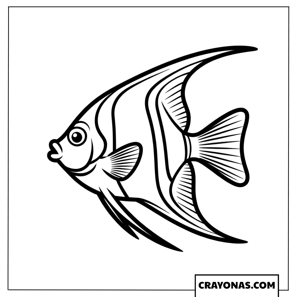 Angelfish with Large Fins Coloring Page