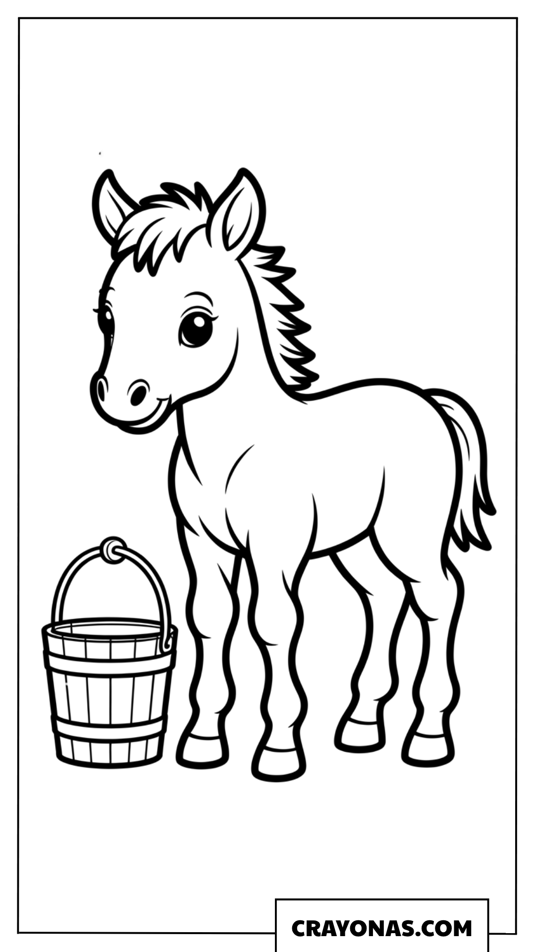 Baby Pony with Wooden Bucket Coloring Page