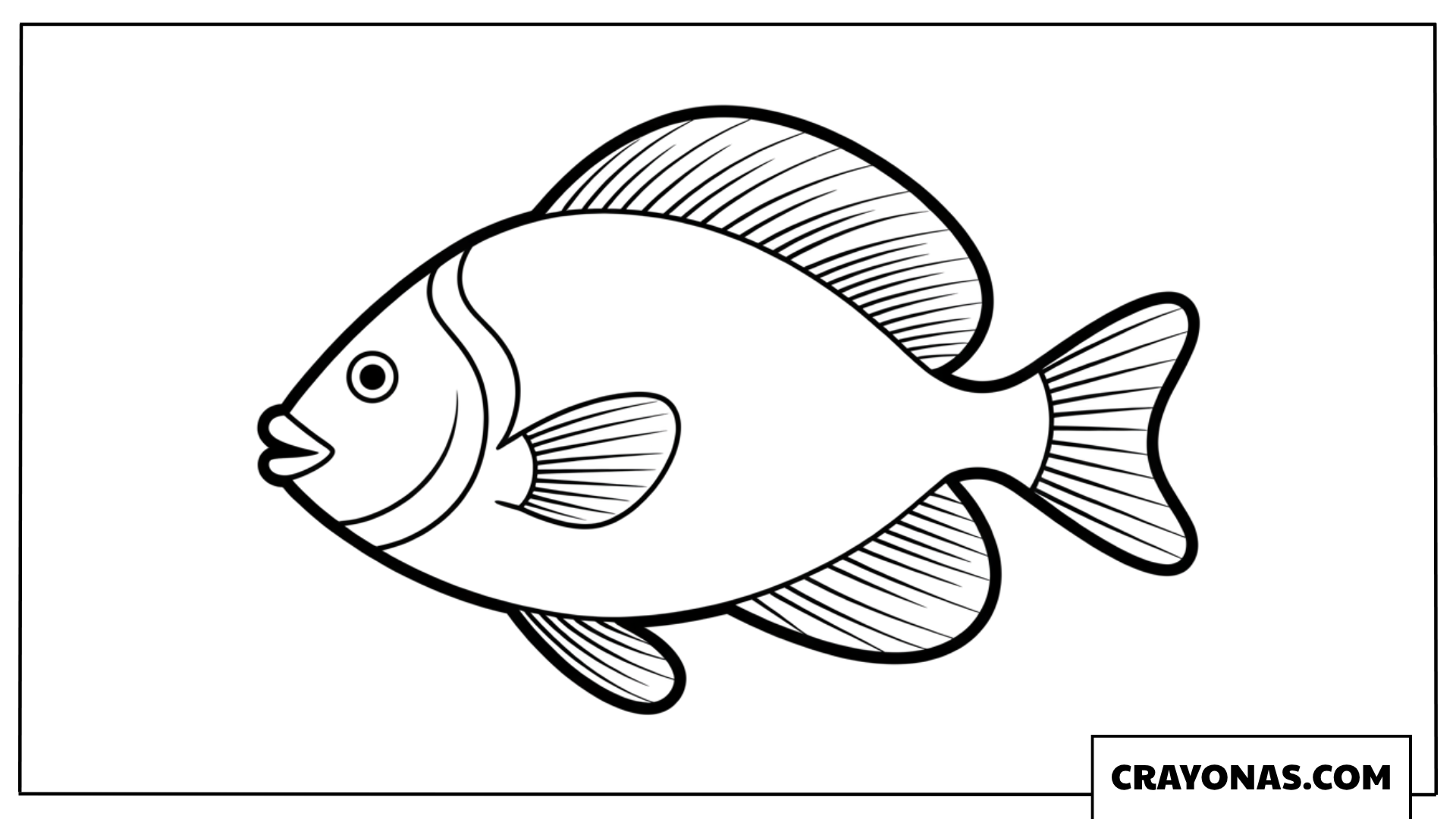 Basic Striped Fish Coloring Page