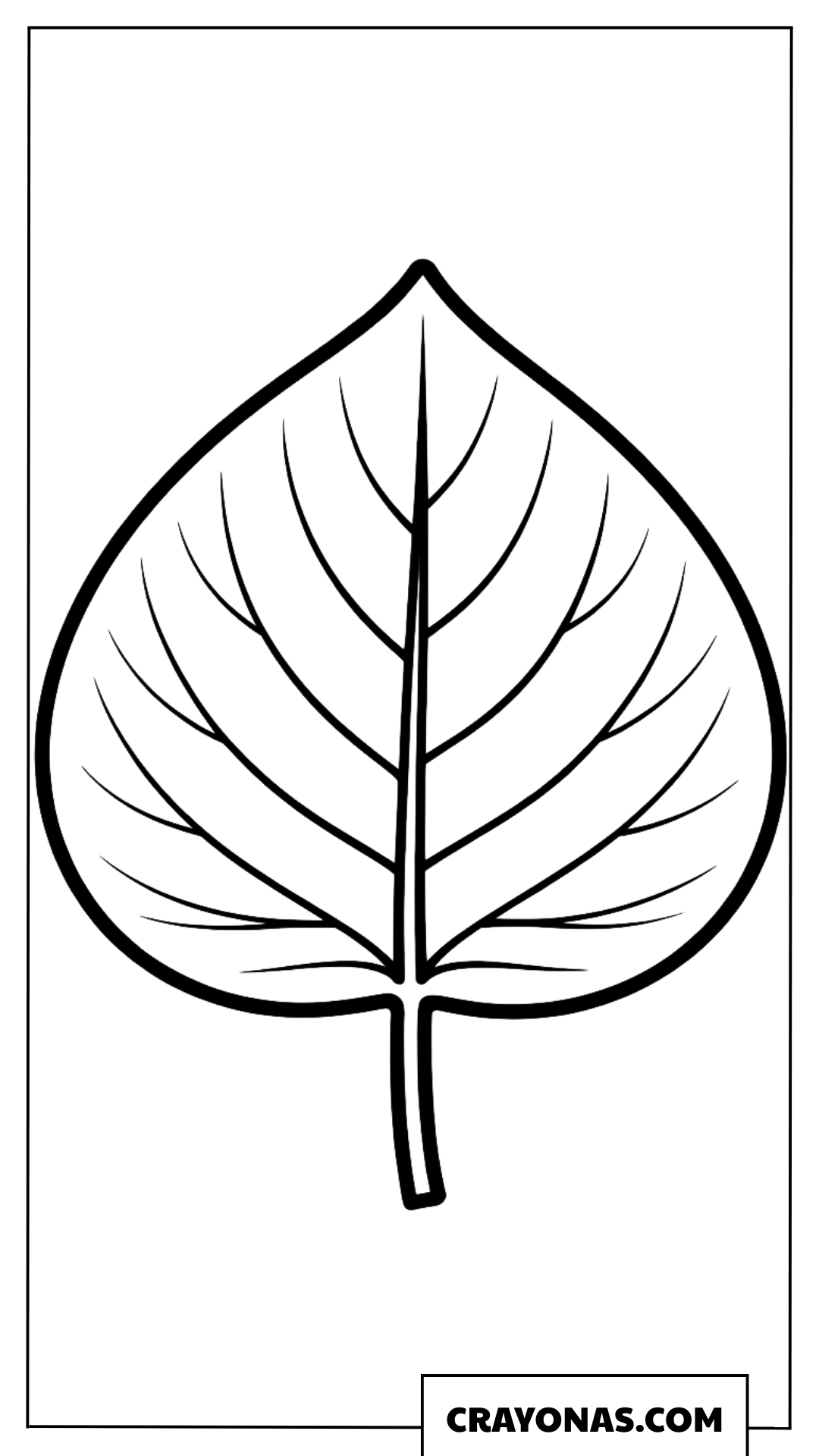 Basic Teardrop Leaf Fall Coloring Page