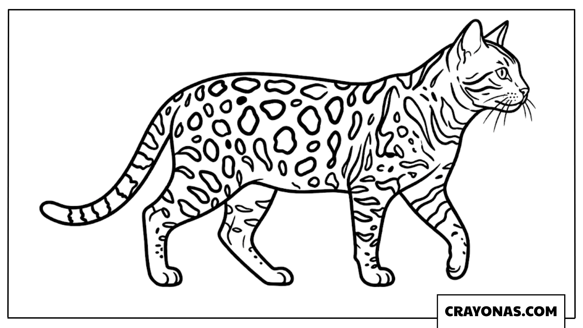 Bengal Cat Walking Coloring Page