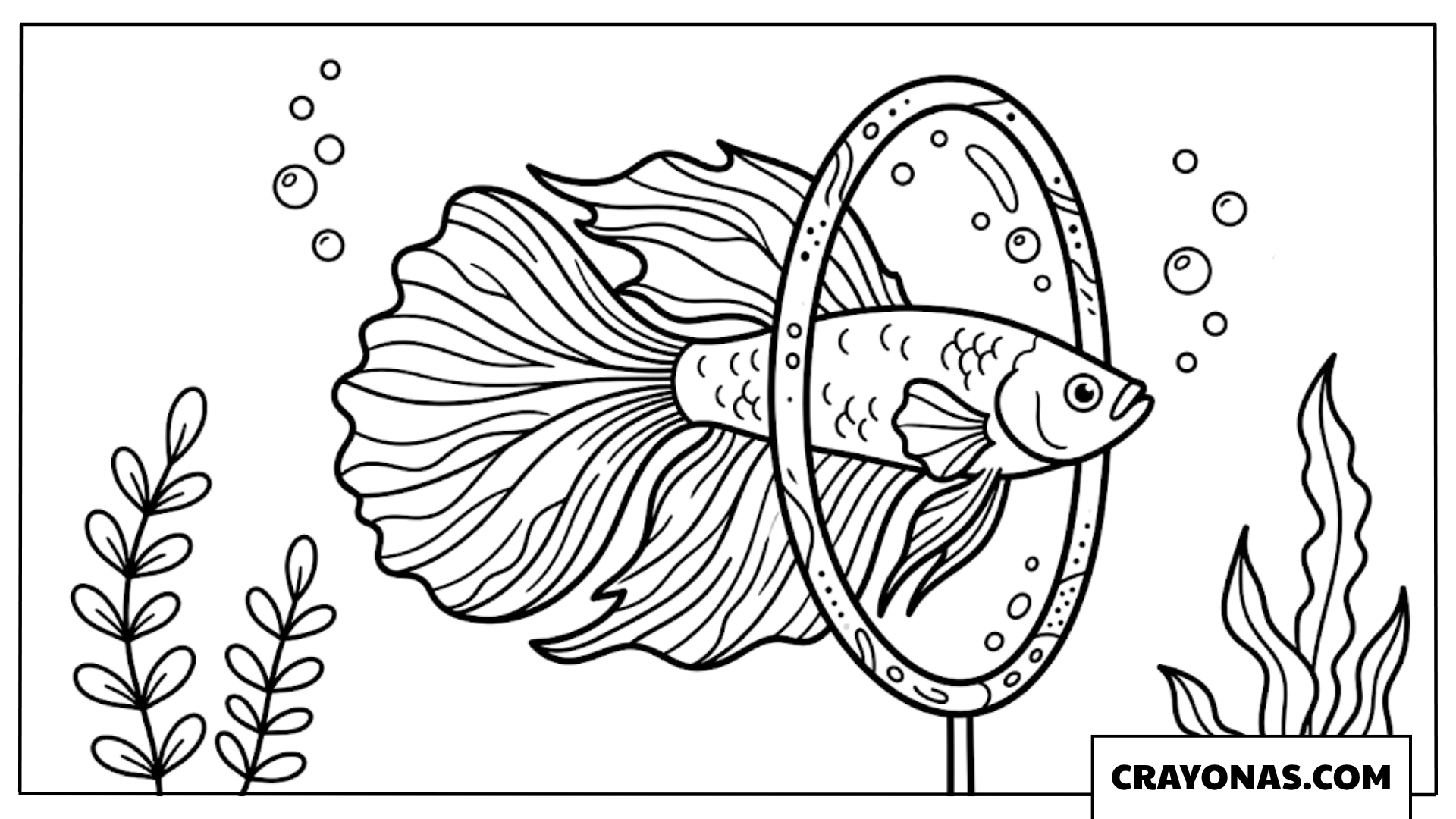 Betta Fish with Large Fins Coloring Page