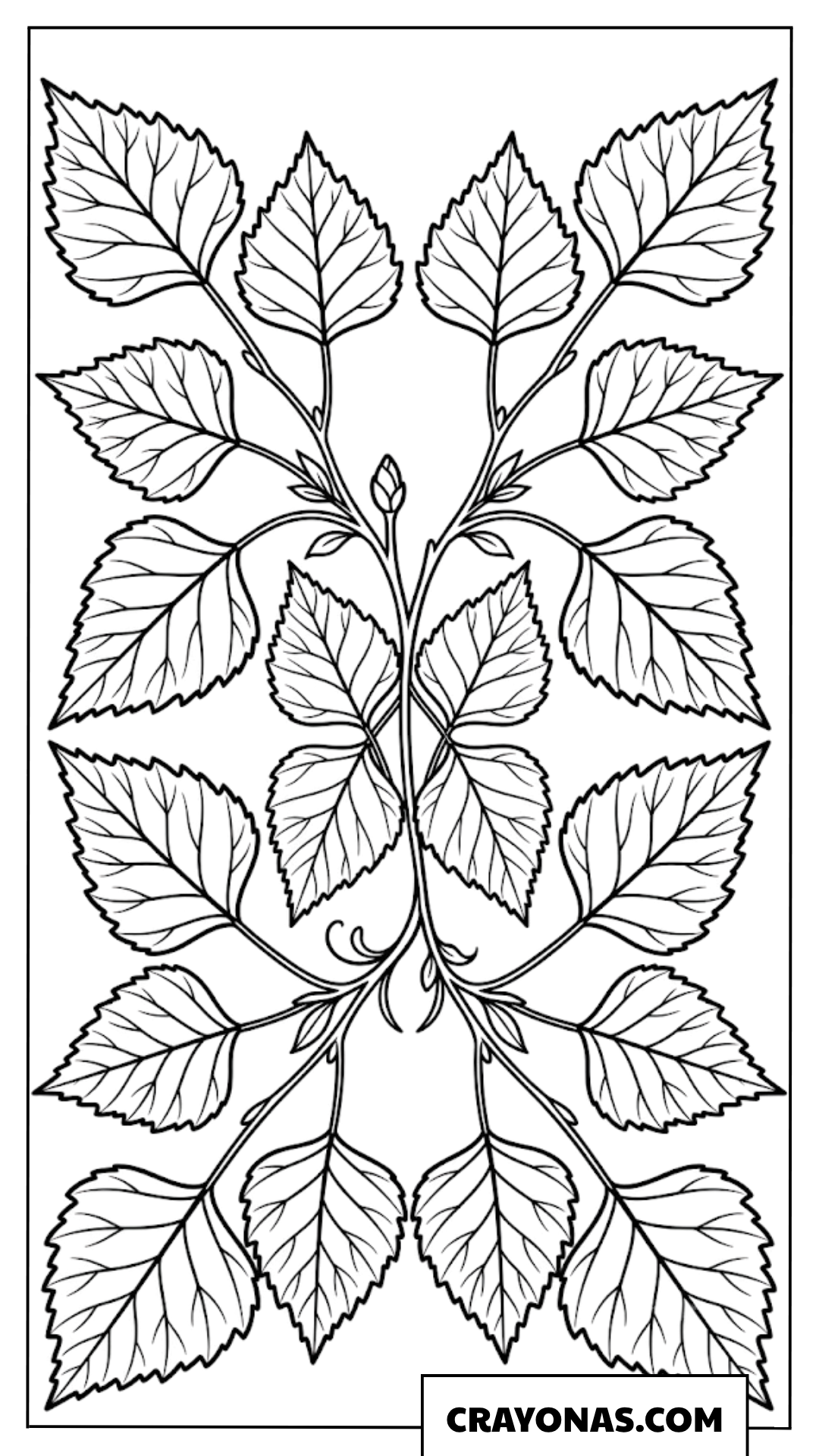 Branch with Autumn Leaves Fall Coloring Page