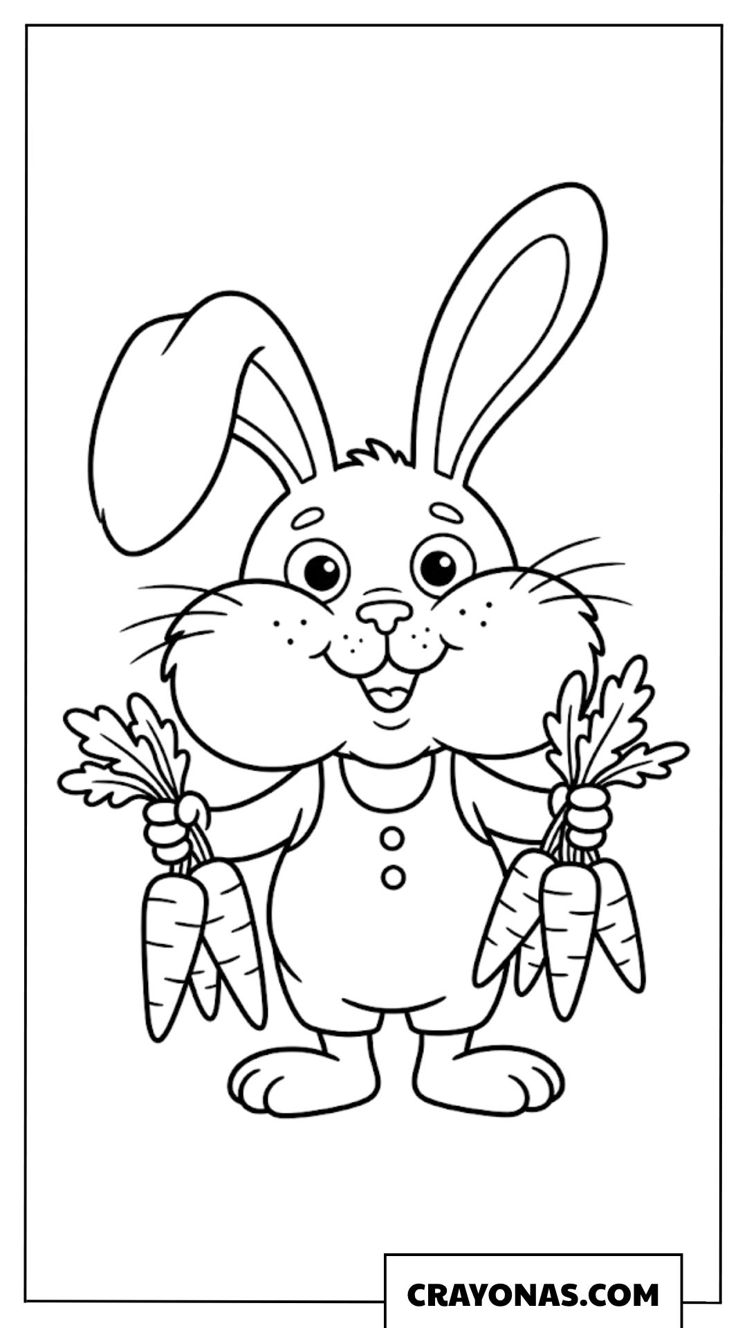 Bunny Holding Bunch of Carrots Coloring Page