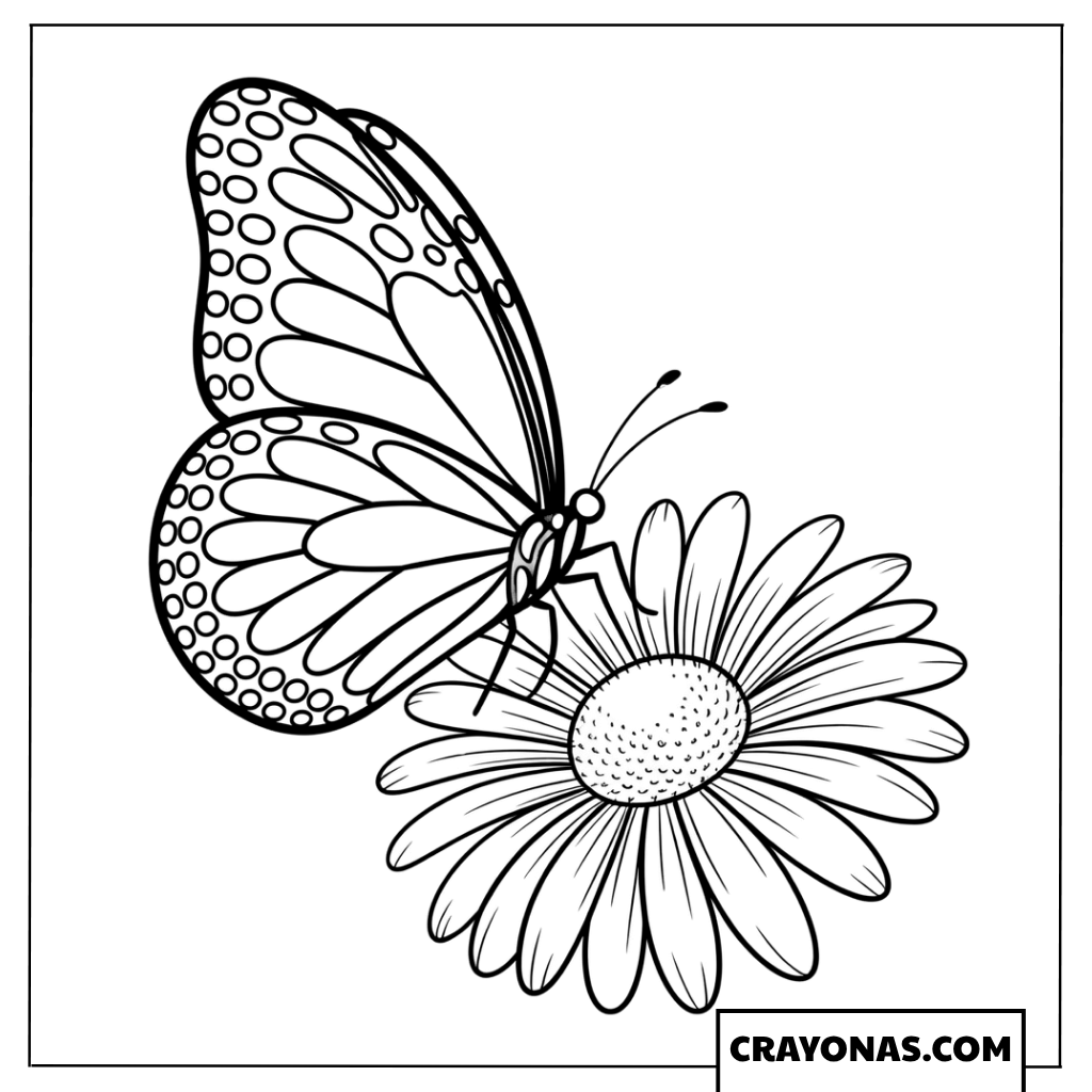 Butterfly on Daisy Coloring Page