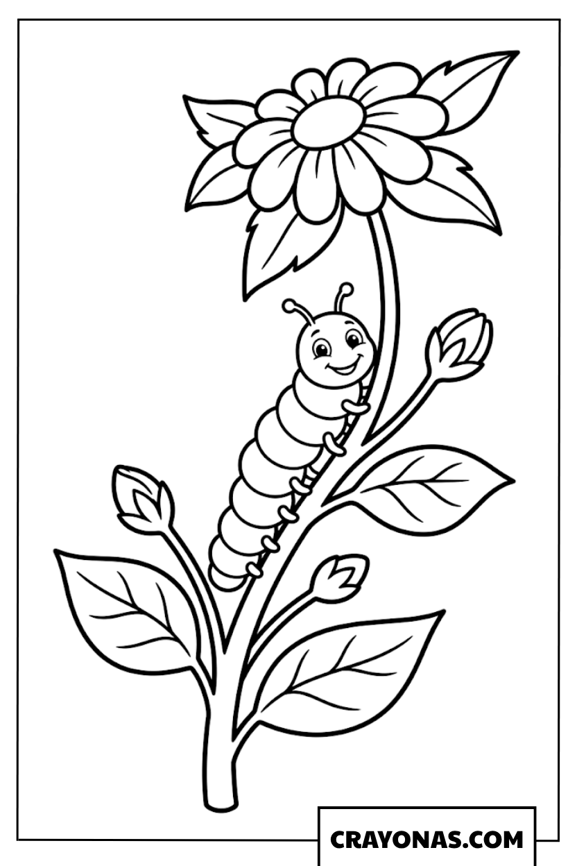 Caterpillar on Flower Coloring Page
