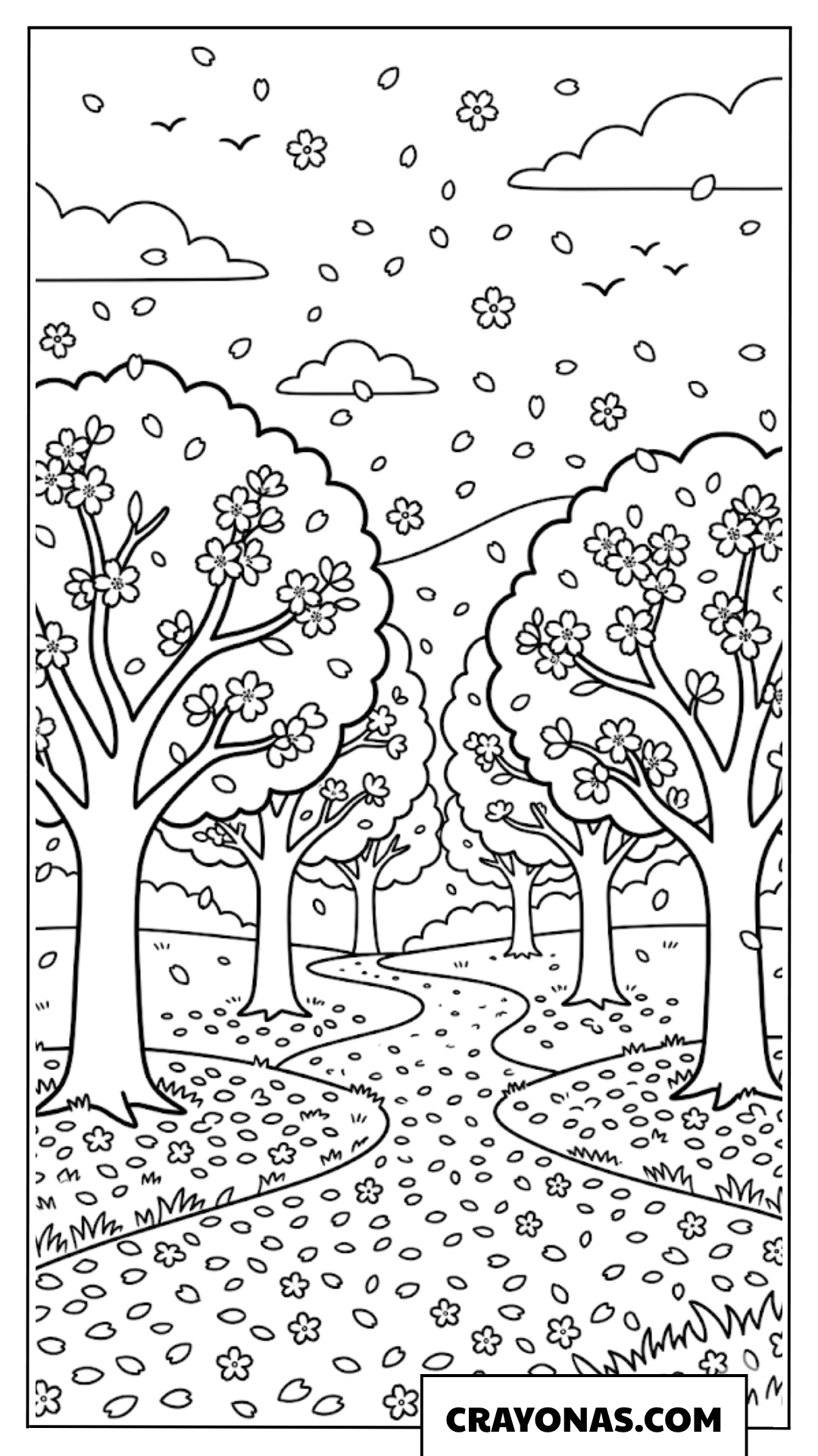 Cherry Blossom Path Coloring Page