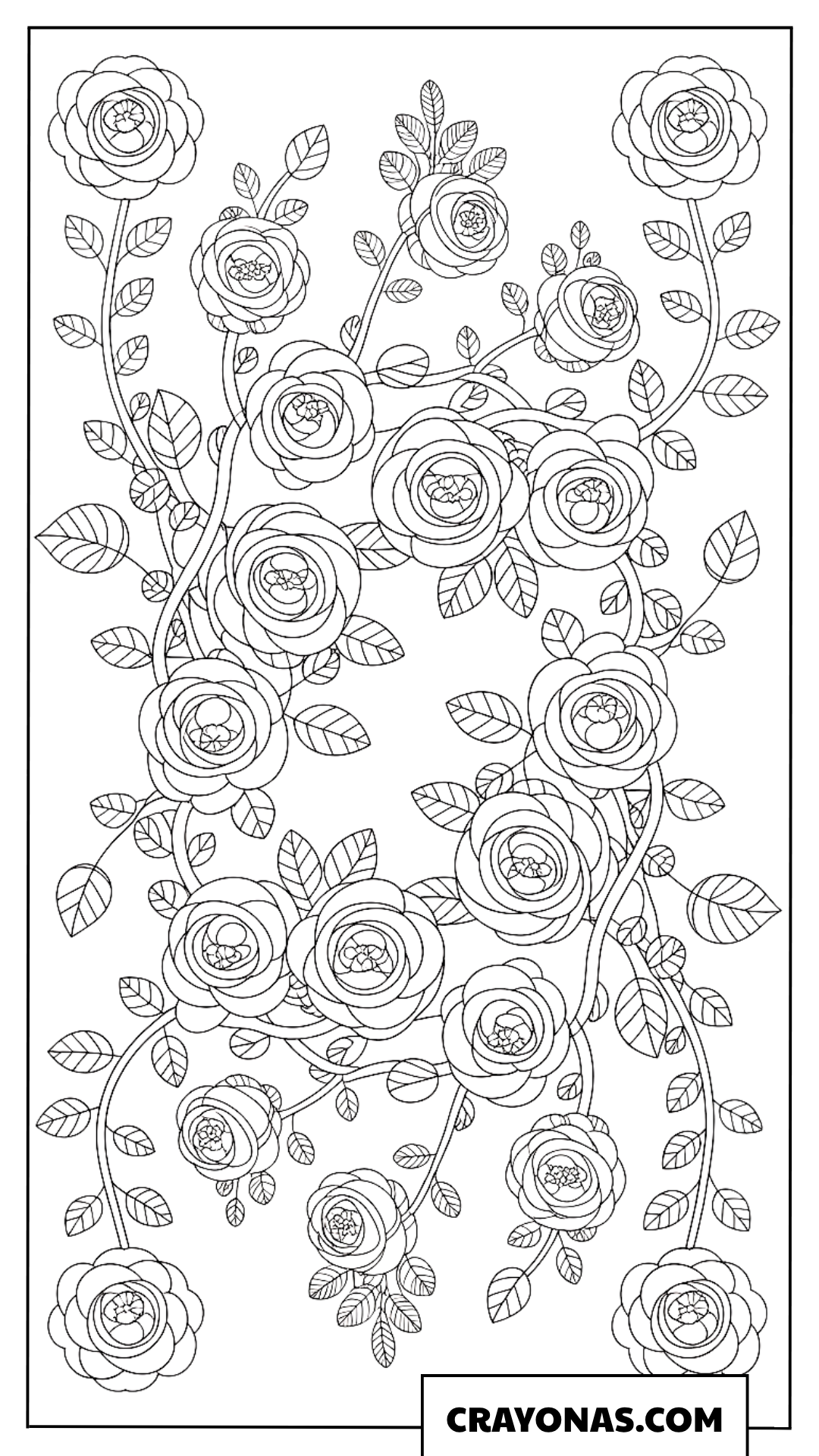 Climbing Rose Mandala Coloring Page