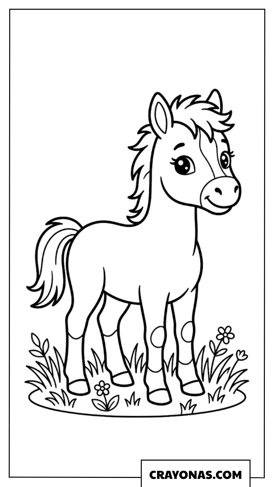 Cute Baby Pony in Flower Field Coloring Page