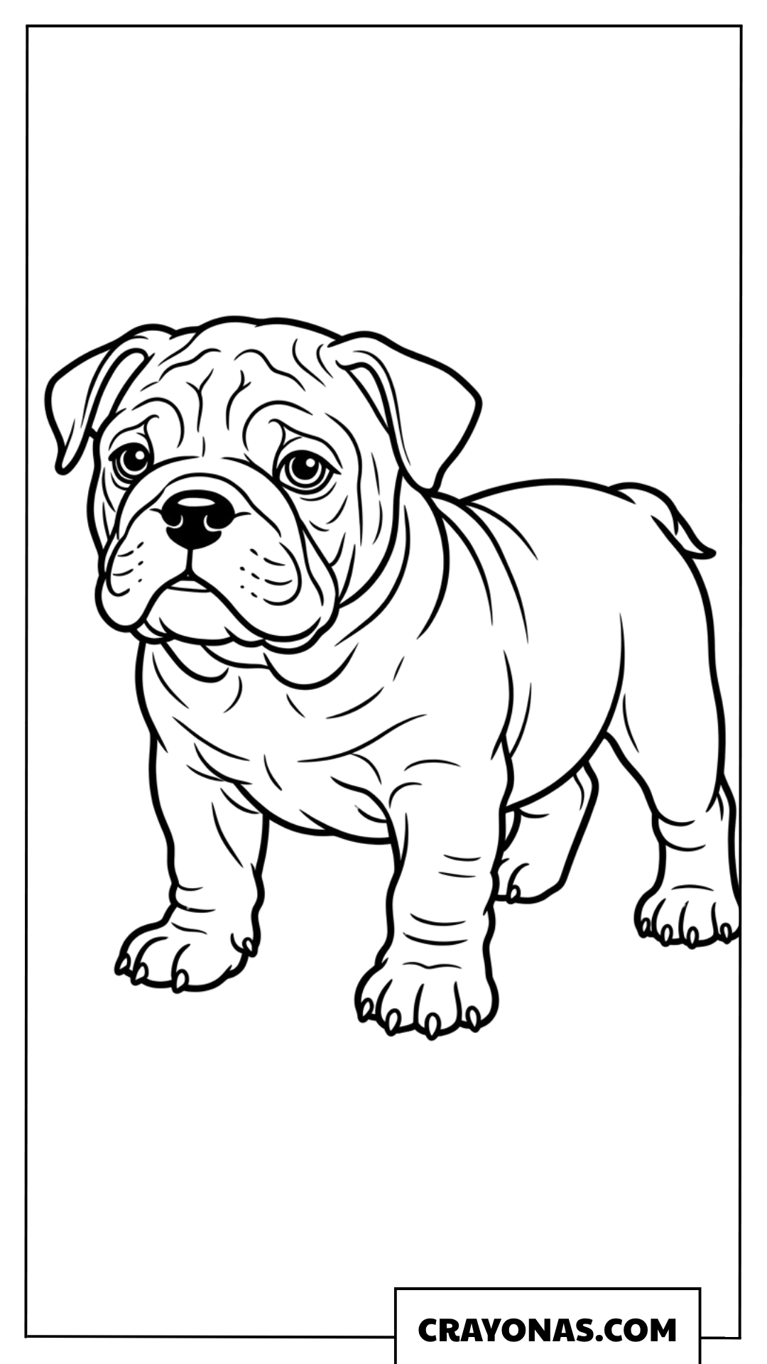 Cute Bulldog Puppy Coloring Page