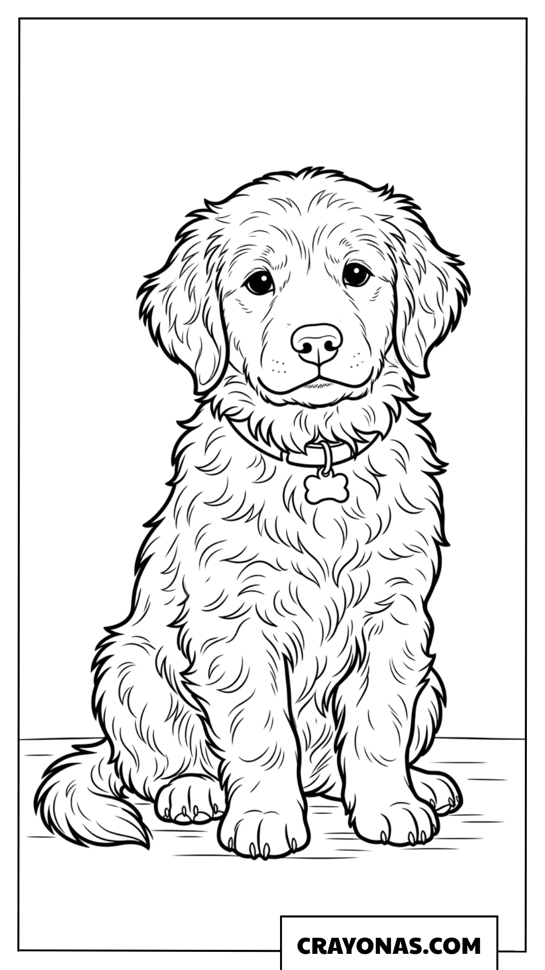 Cute Golden Retriever Puppy Coloring Page