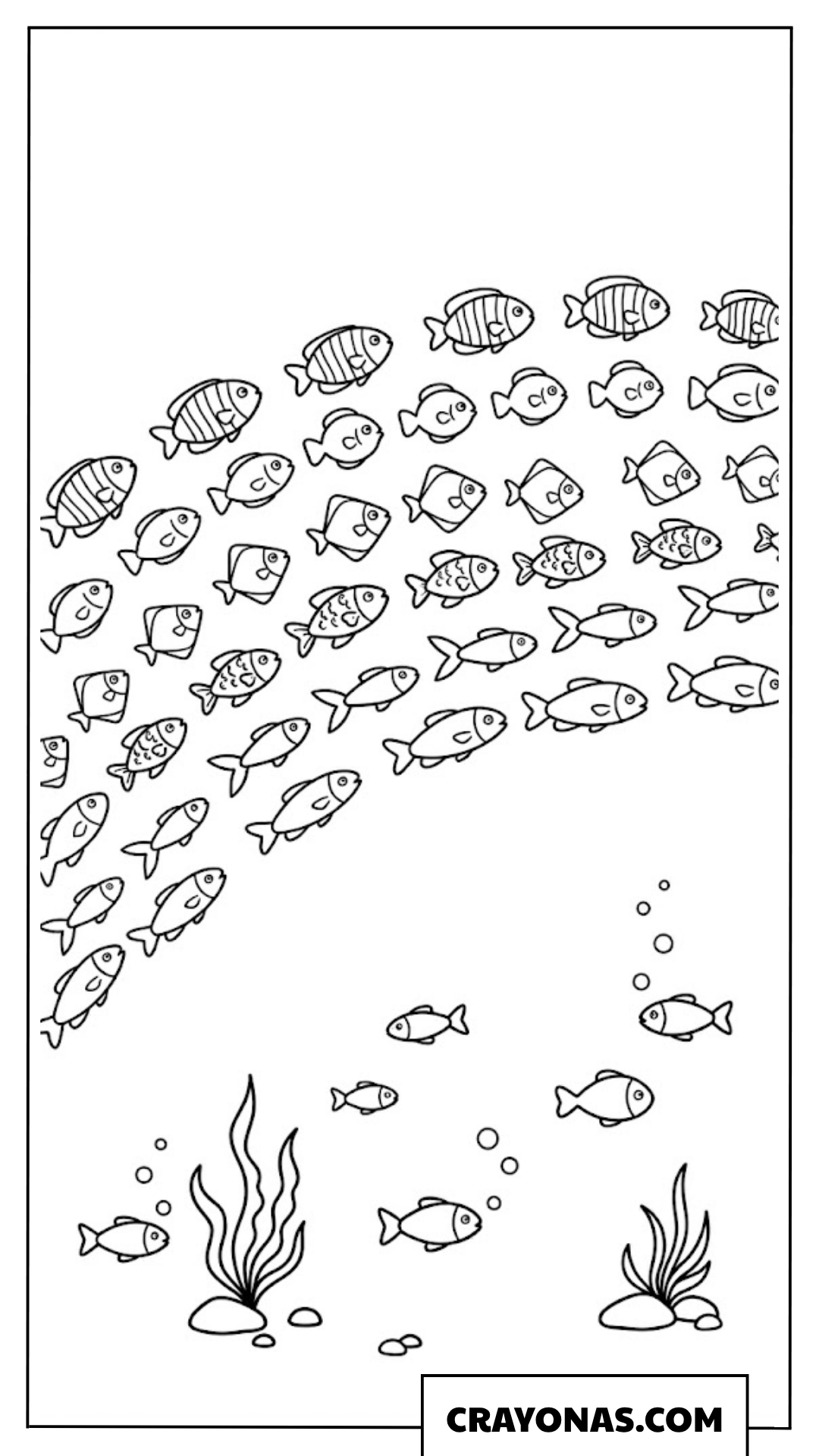 Cute School of Fish under Rainbow Coloring Page