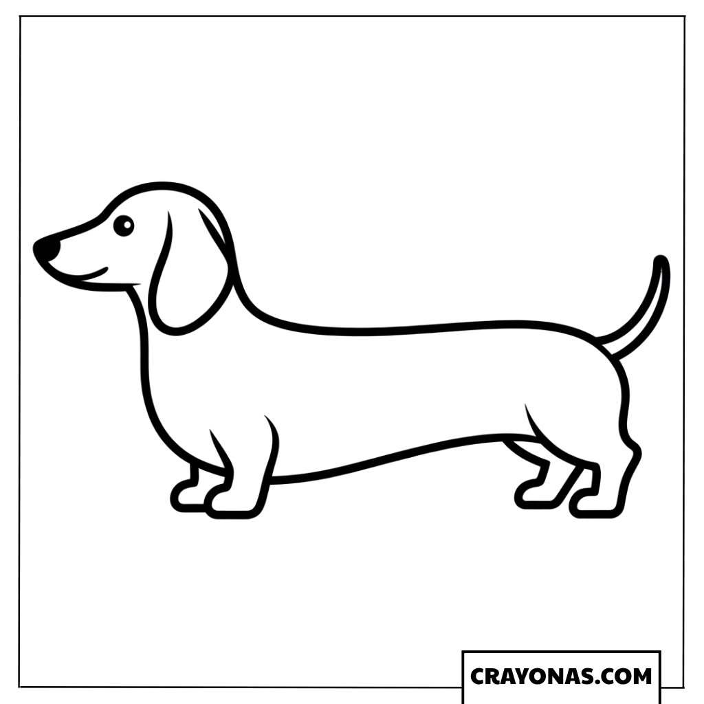 Dachshund Coloring Page