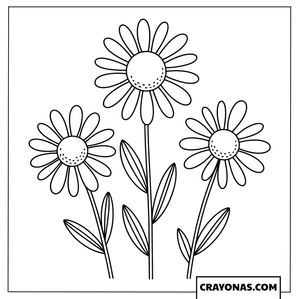 Daisy Flowers Coloring Page
