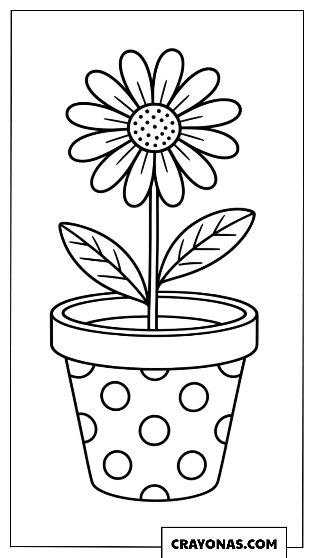 Daisy in Polka Dot Pot Coloring Page