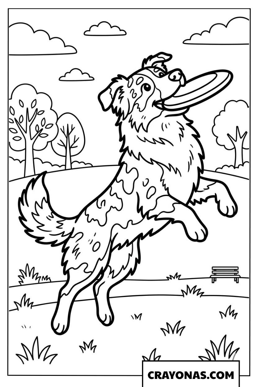 Dalmatian Catching Frisbee Coloring Page
