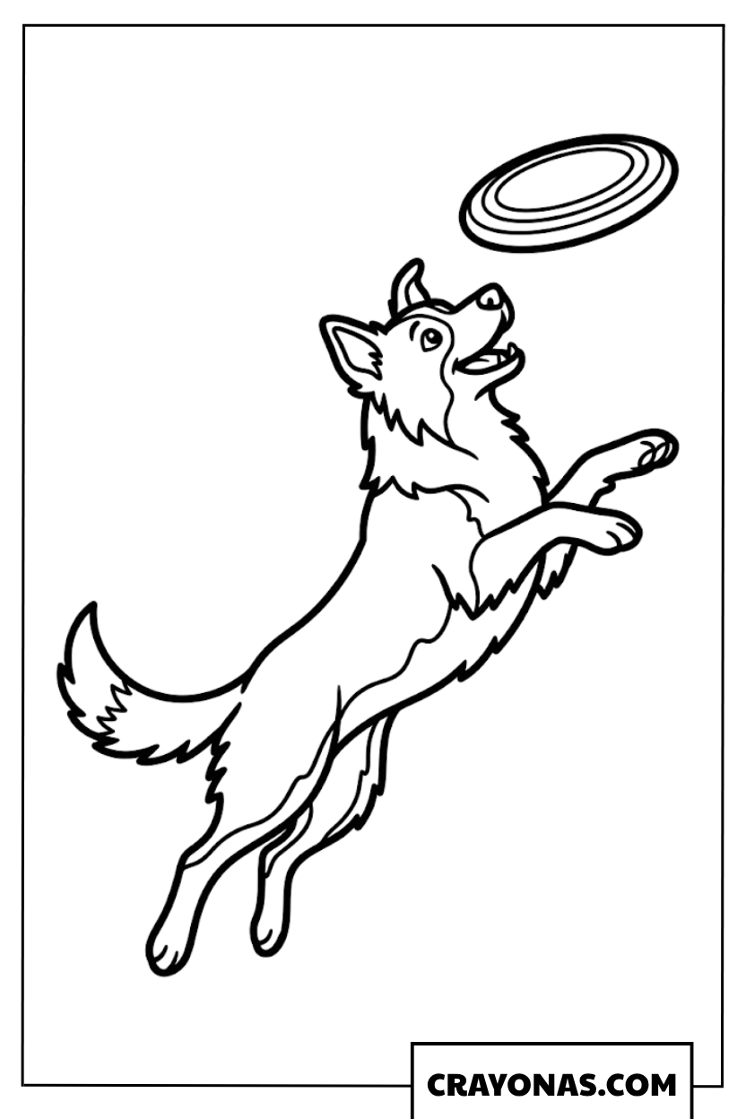 Dog Catching Frisbee Coloring Page