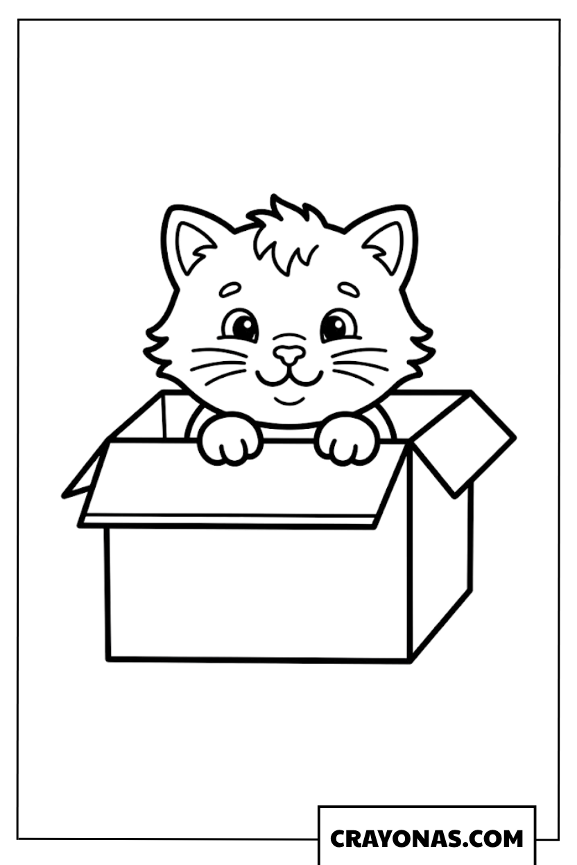 Easy Kitten in Box Coloring Page