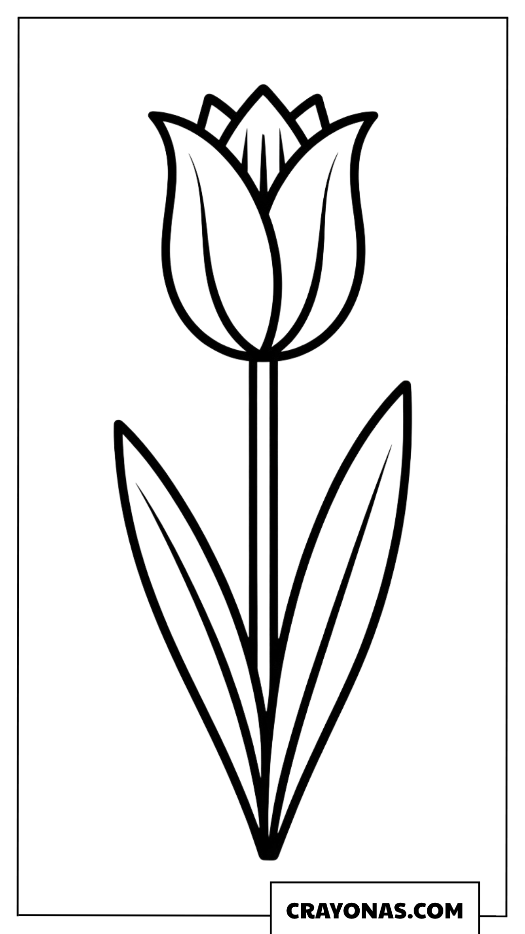 Easy Tulip Coloring Page