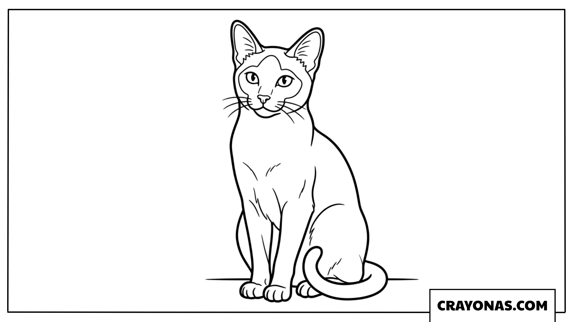 Elegant Siamese Cat Coloring Page