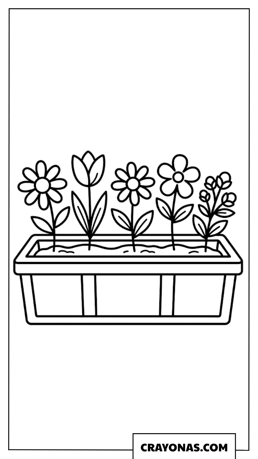 Flowers in Window Box Coloring Page