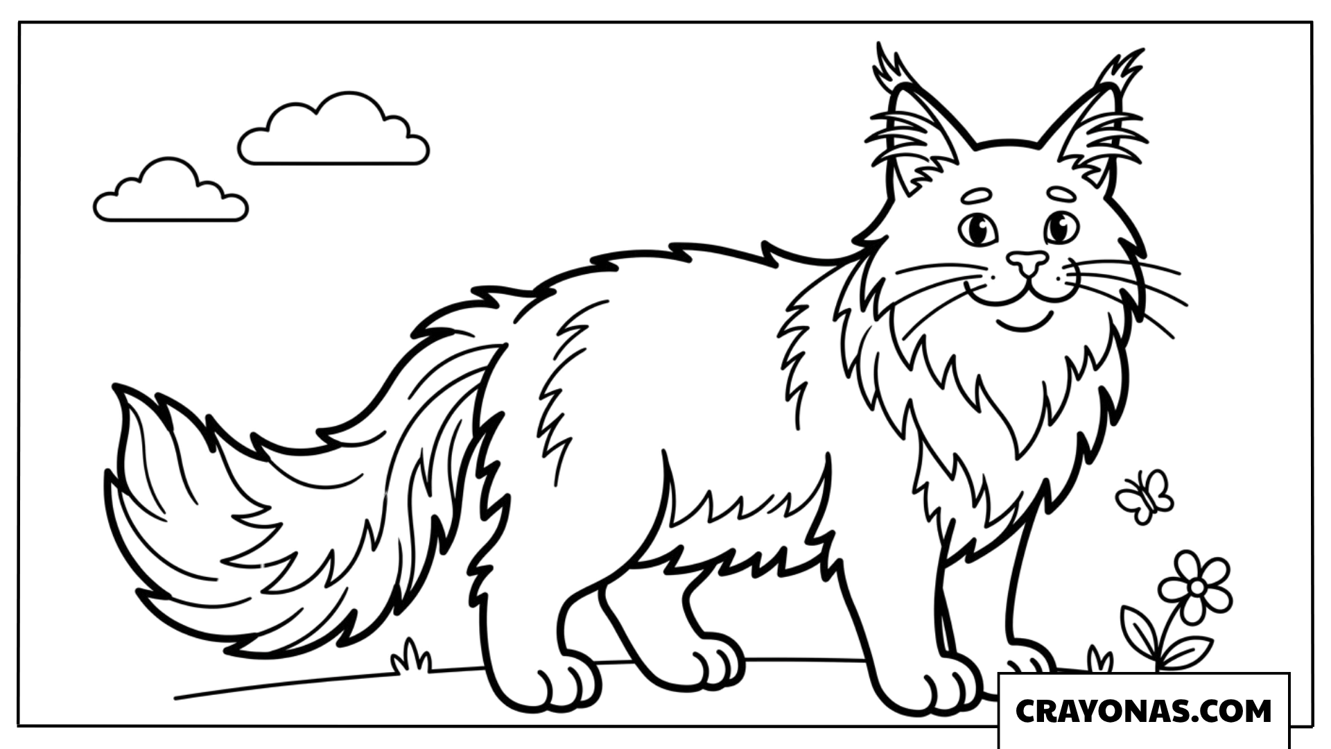 Fluffy Long-Haired Cat Coloring Page