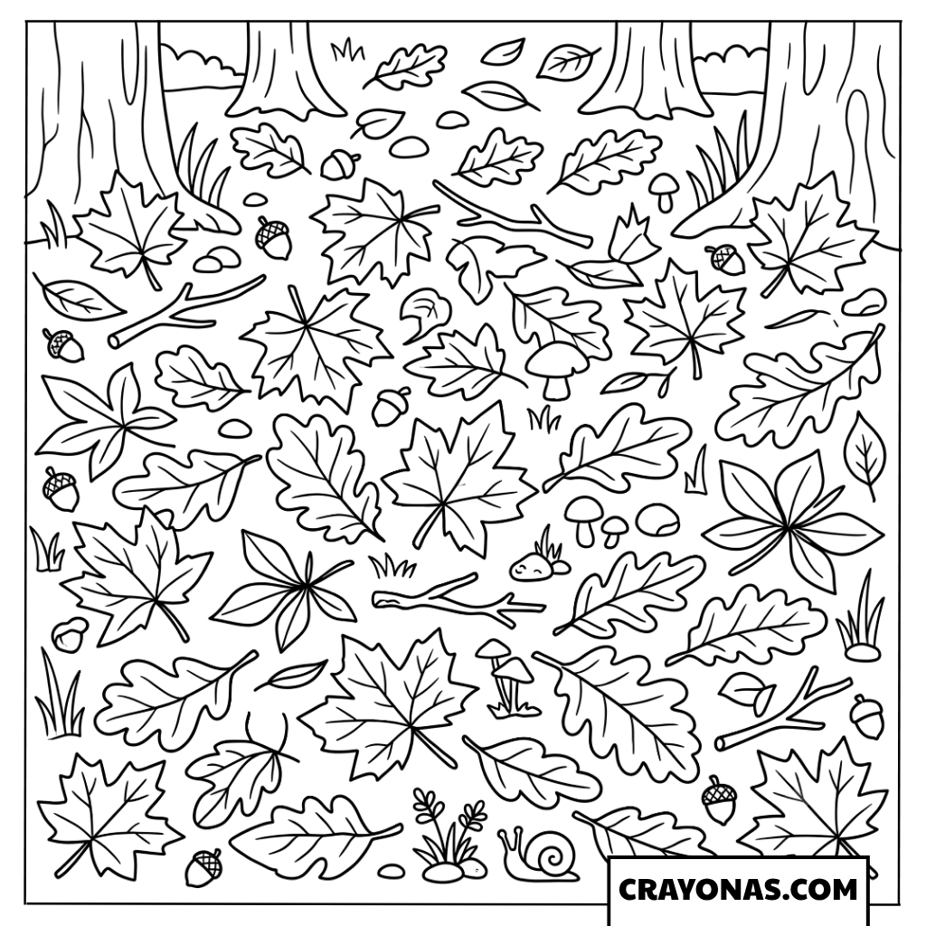 Forest Floor Covered in Leaves Coloring Page