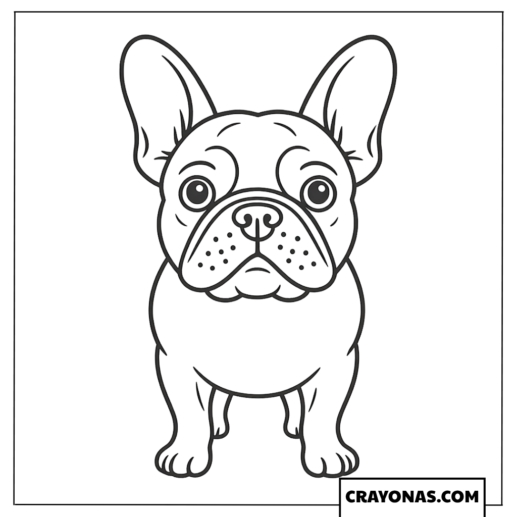 French Bulldog Coloring Page
