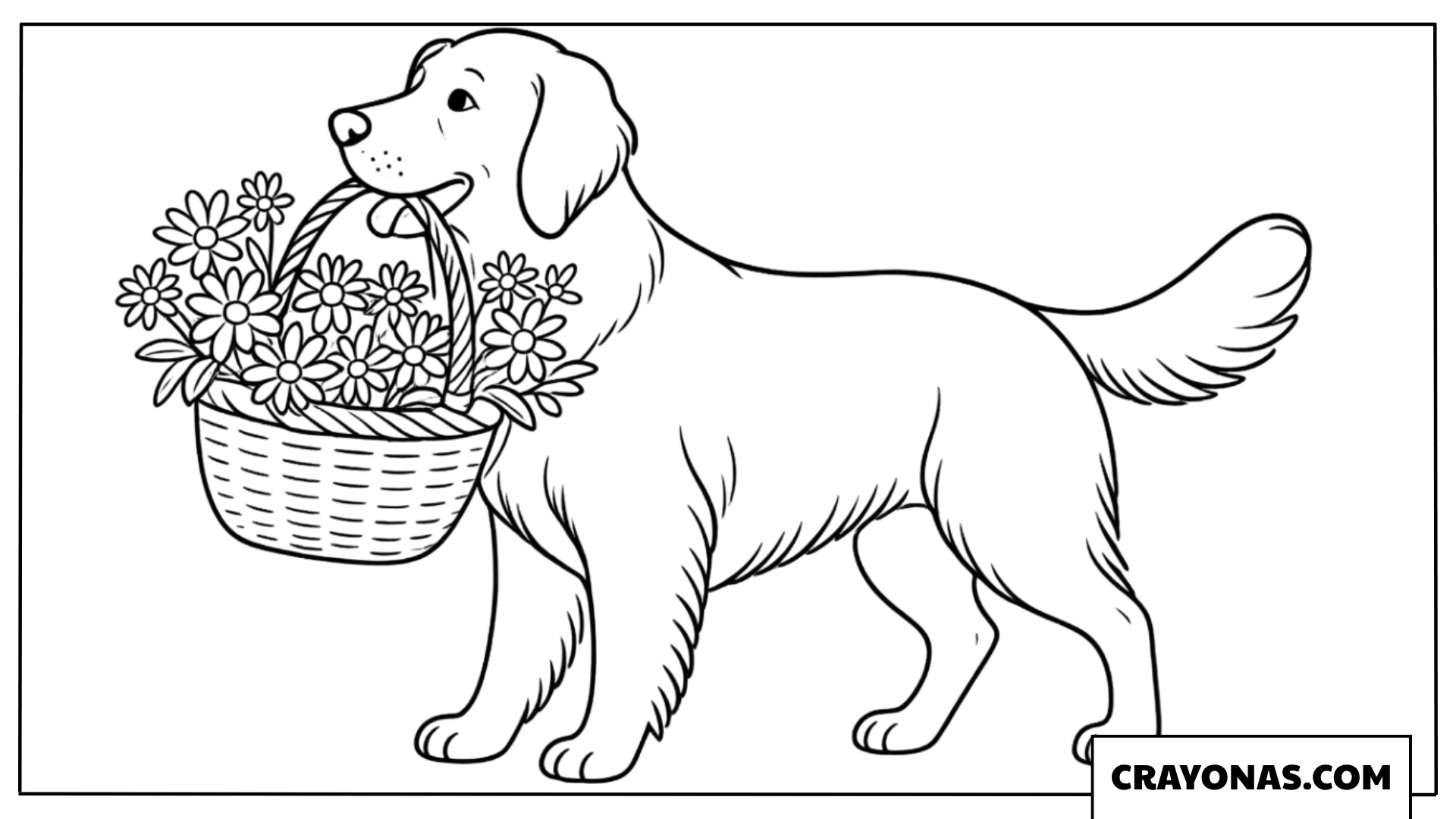 Golden Retriever Carrying Flower Basket Coloring Page