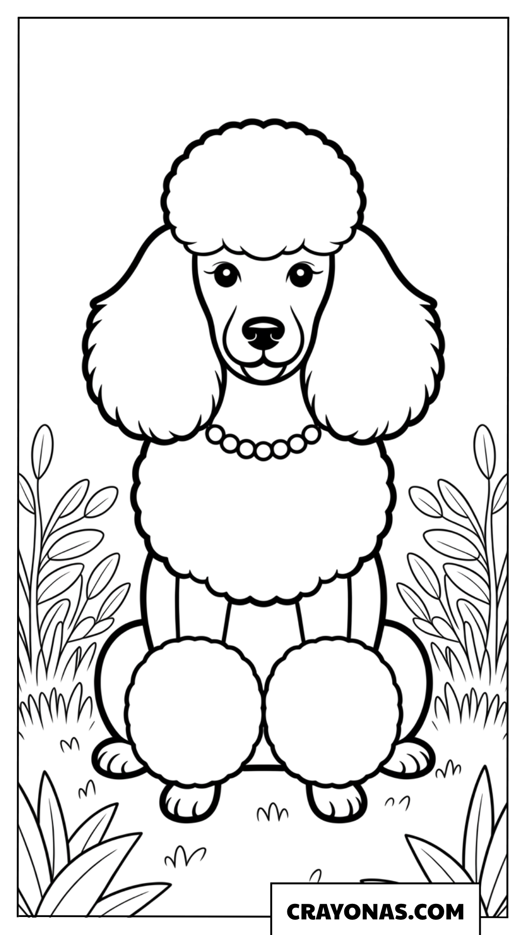 Groomed Poodle with Pearls Coloring Page