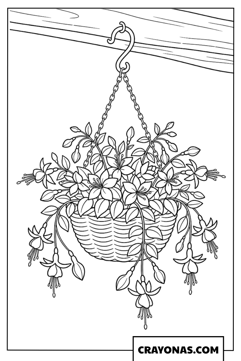Hanging Flower Basket Coloring Page