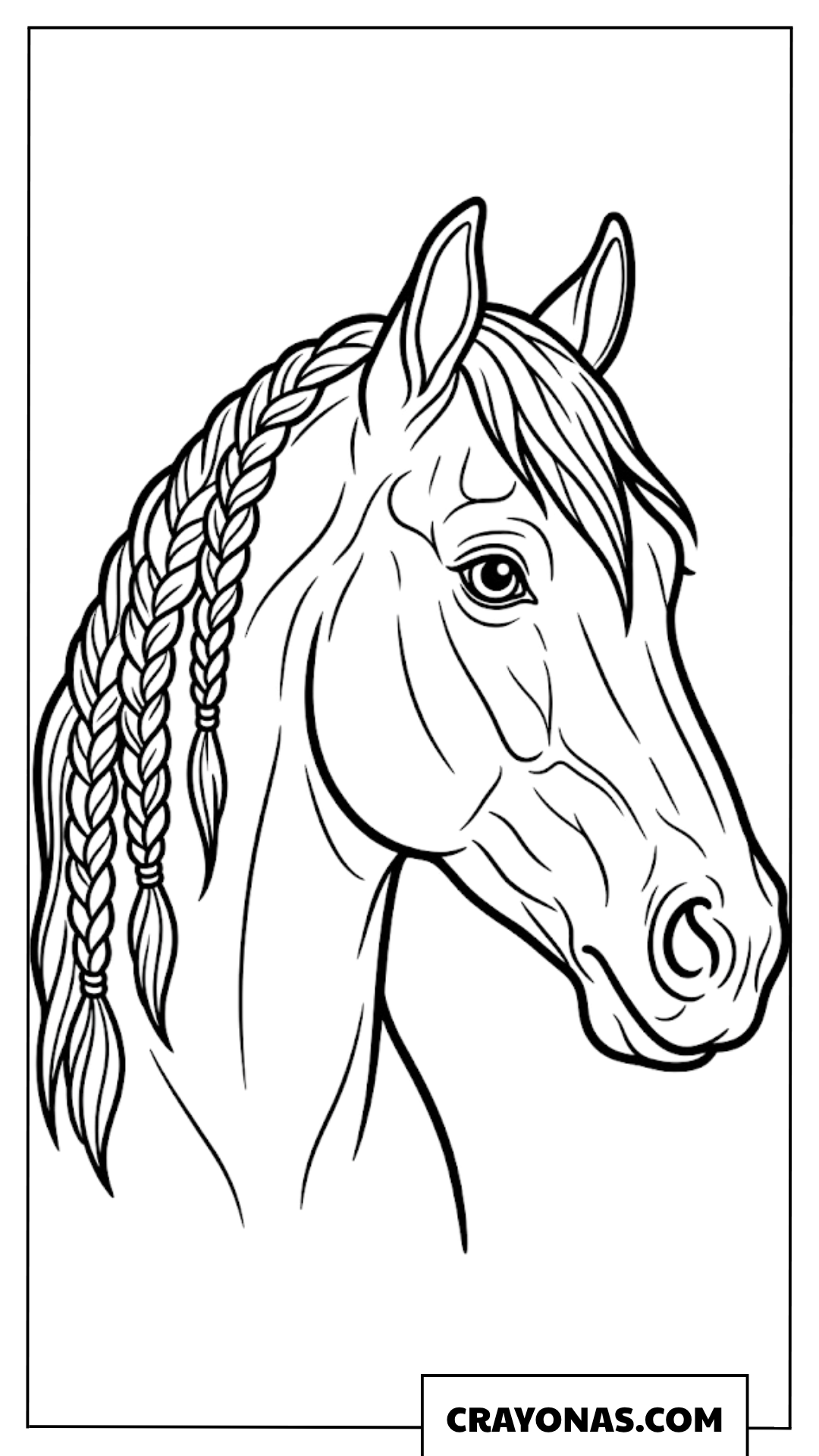 Horse with Braided Mane Coloring Page