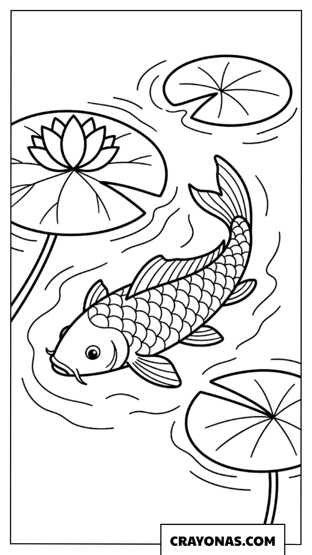 Koi Fish with Lily Pads Coloring Page